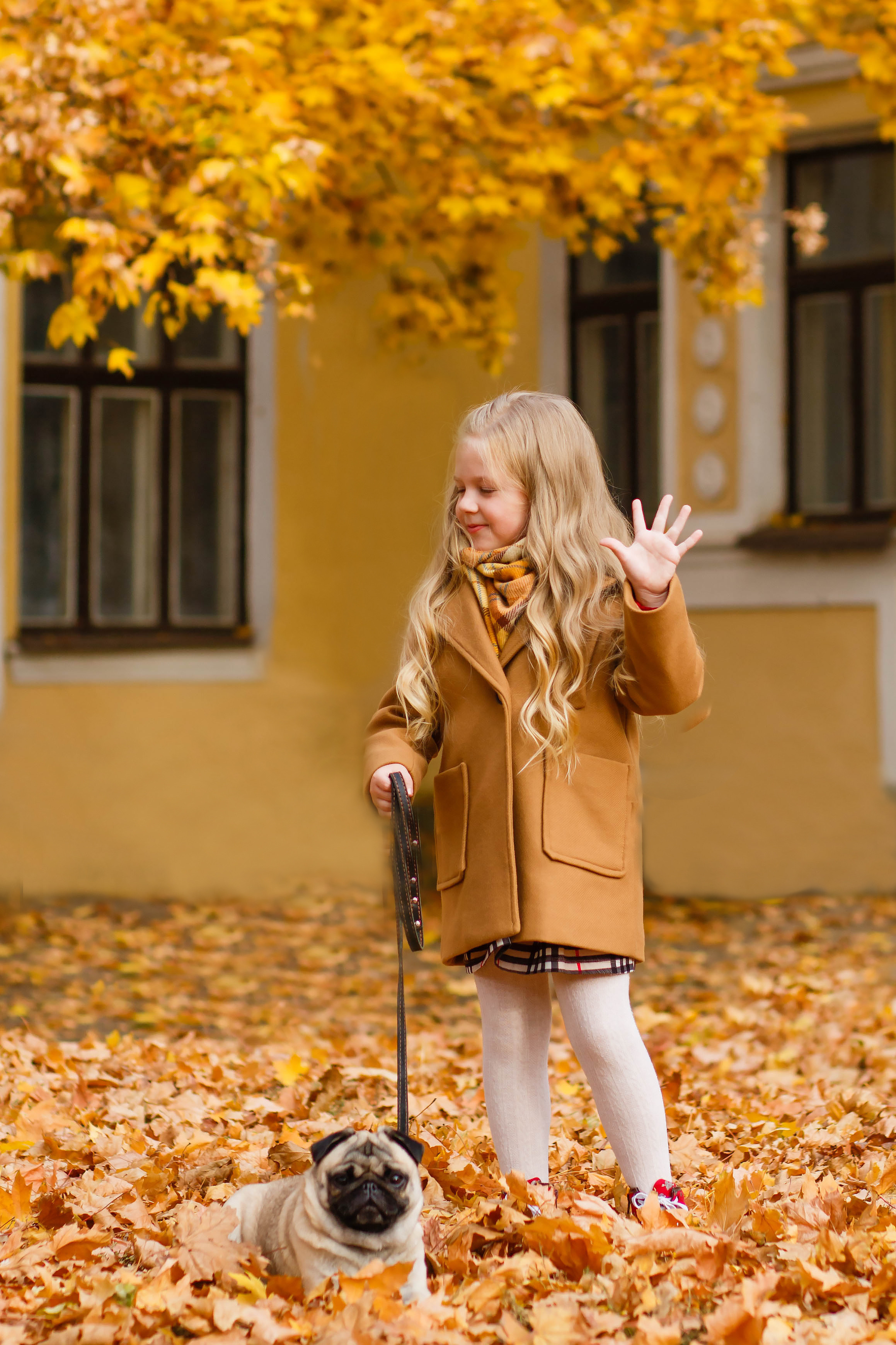 Осінь в Україні. Фотограф в Чернівцях, Фотограф Чернівці