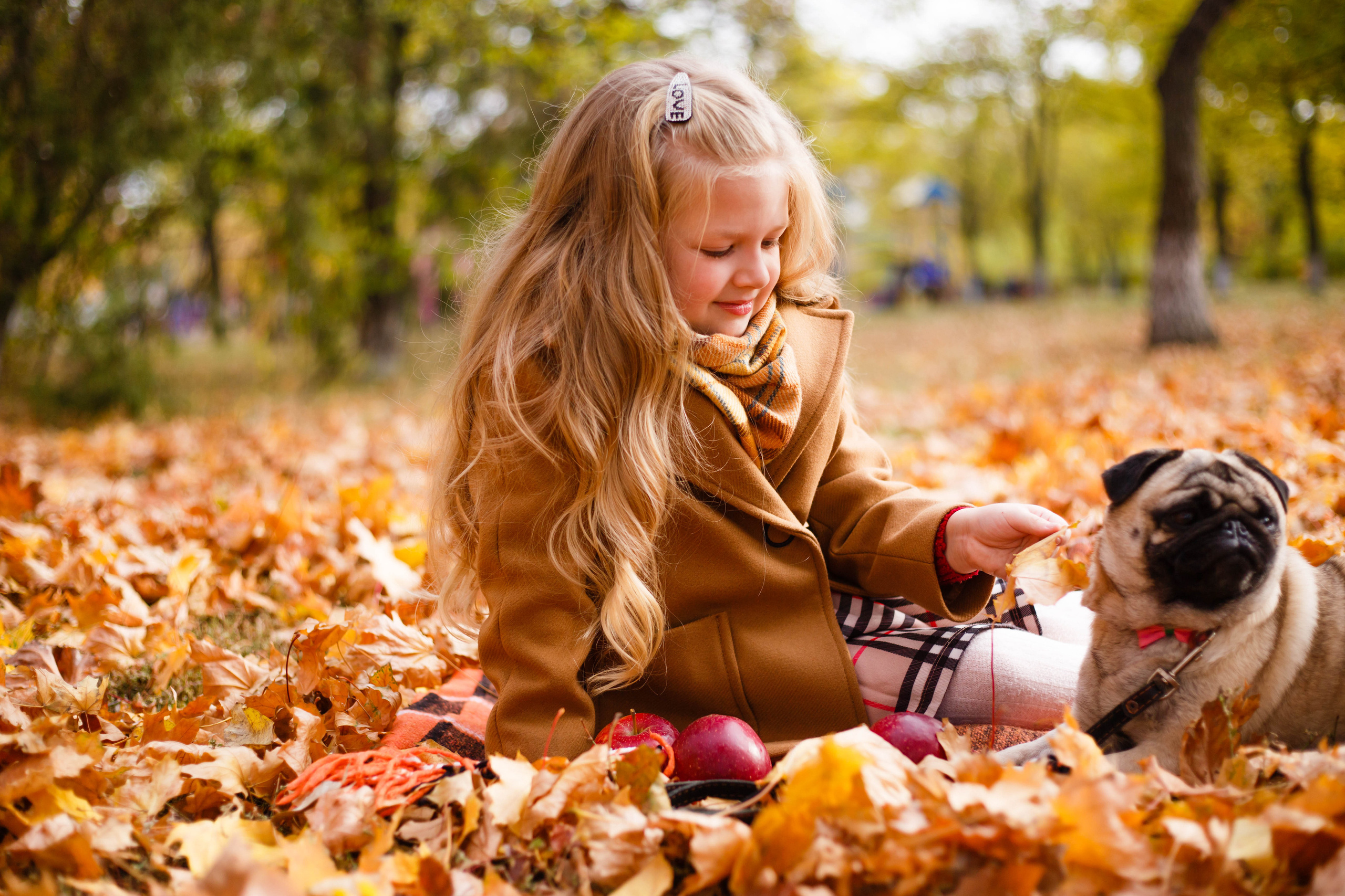 Осінь в Україні. Фотограф в Чернівцях, Фотограф Чернівці