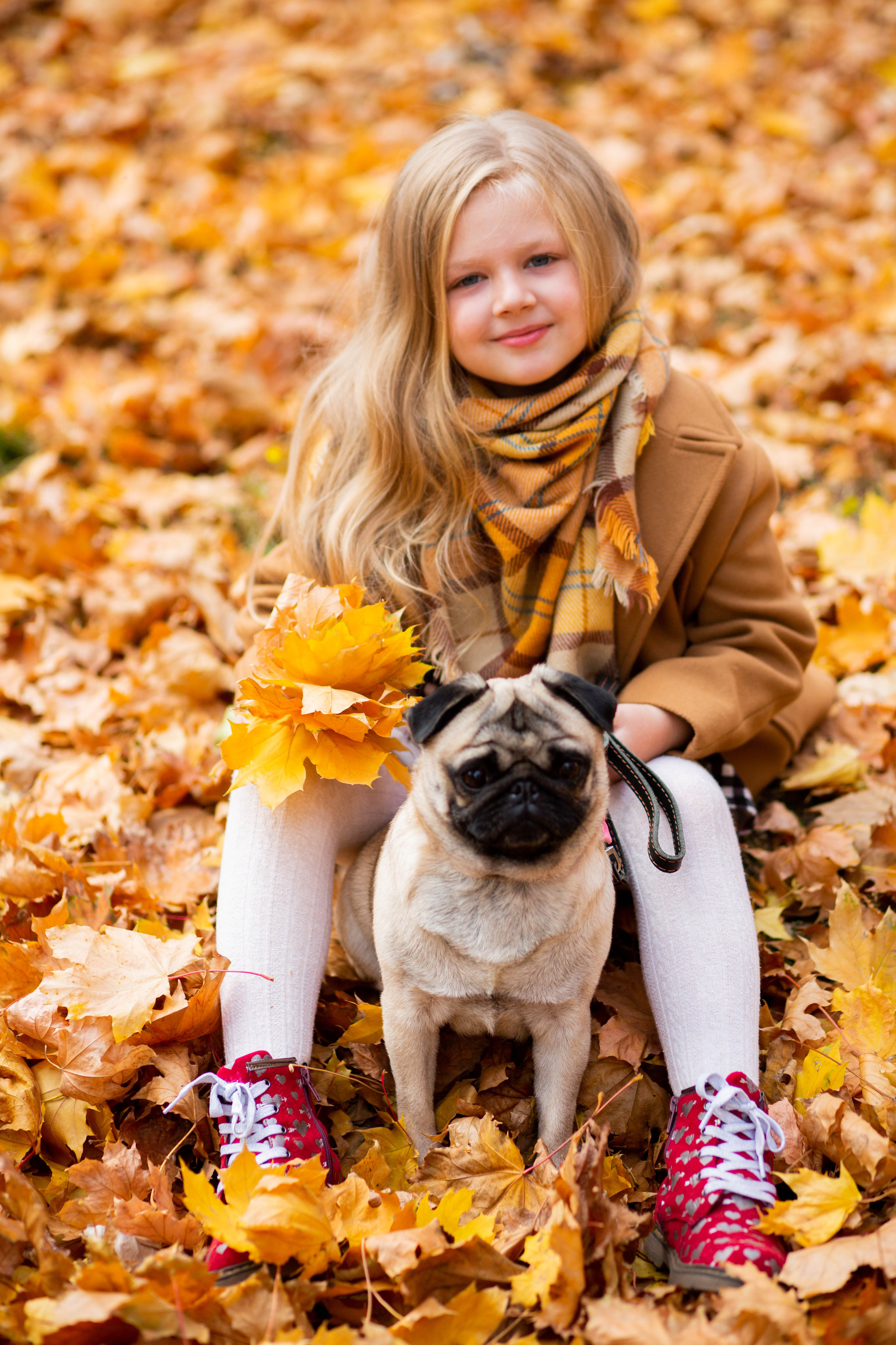 Осінь в Україні. Фотограф в Чернівцях, Фотограф Чернівці