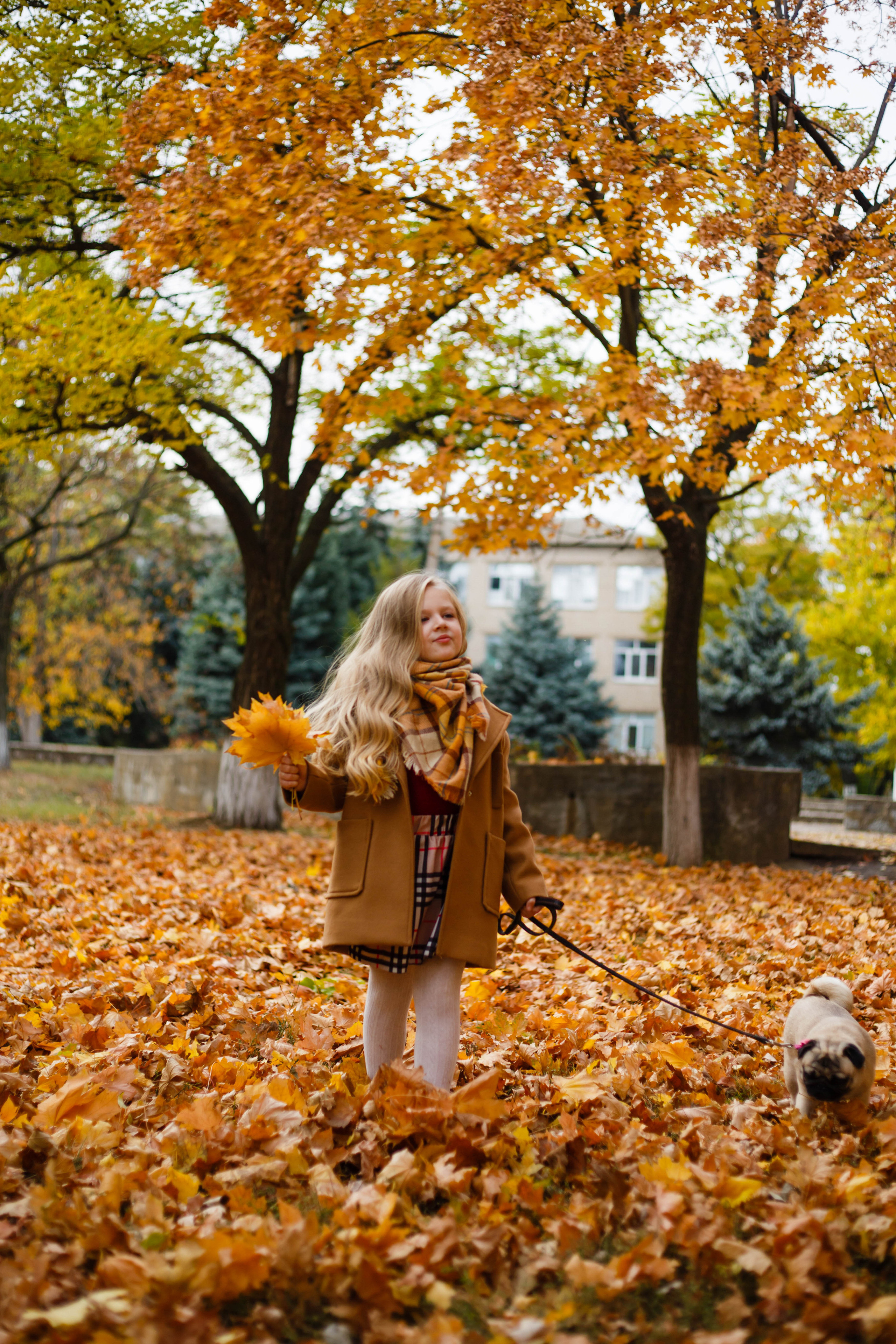 Осінь в Україні. Фотограф в Чернівцях, Фотограф Чернівці
