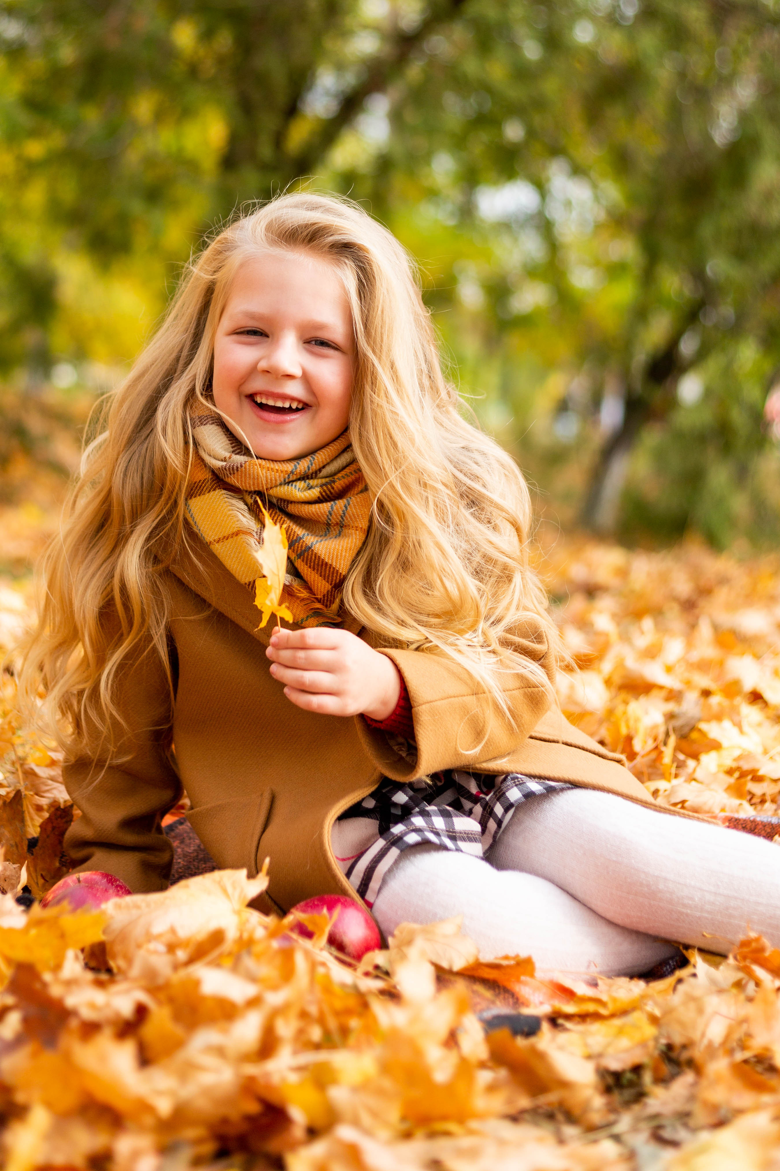Осінь в Україні. Фотограф в Чернівцях, Фотограф Чернівці