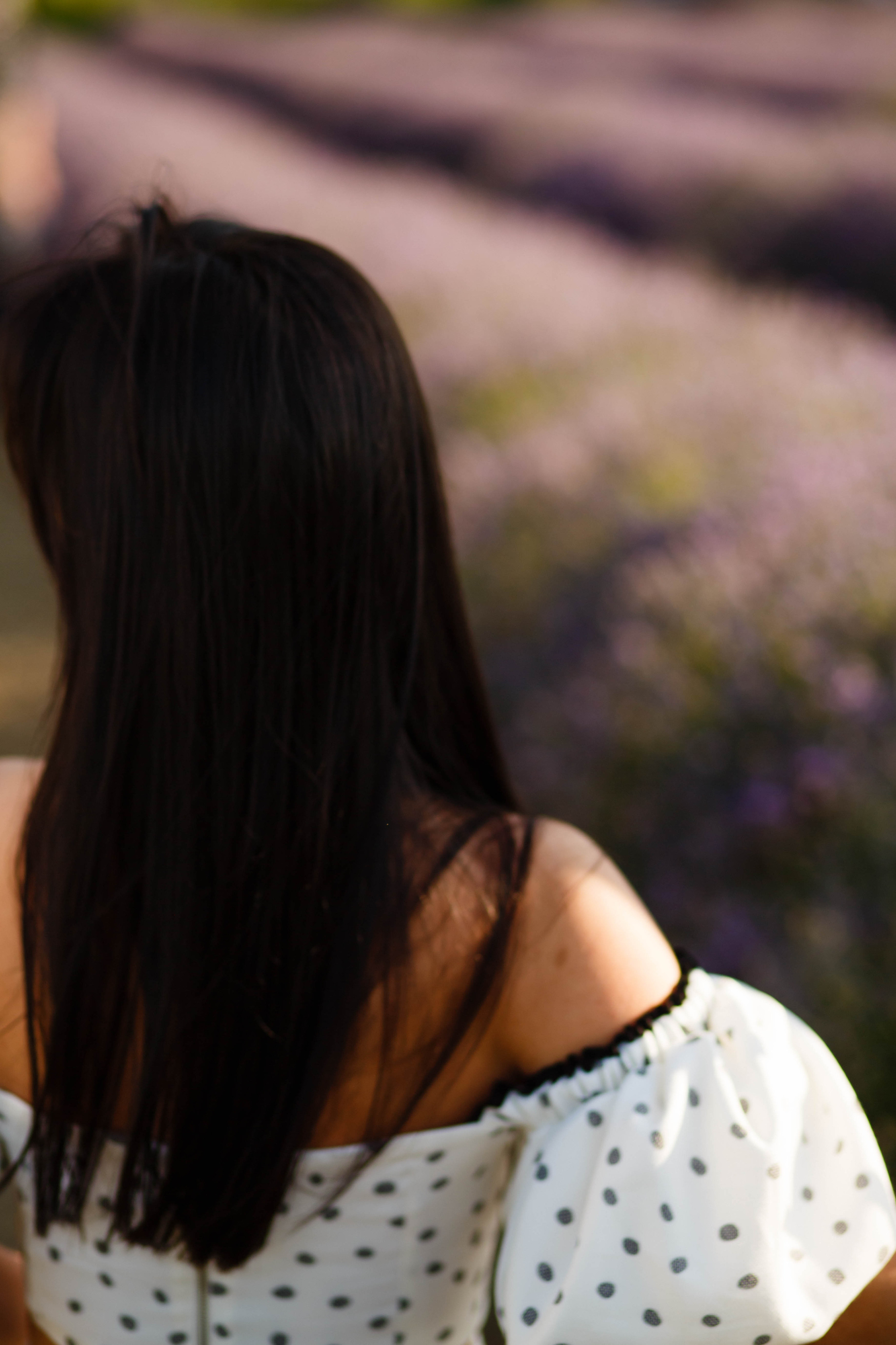 Уляна в лаванді. Фотограф в Чернівцях, Фотограф Чернівці