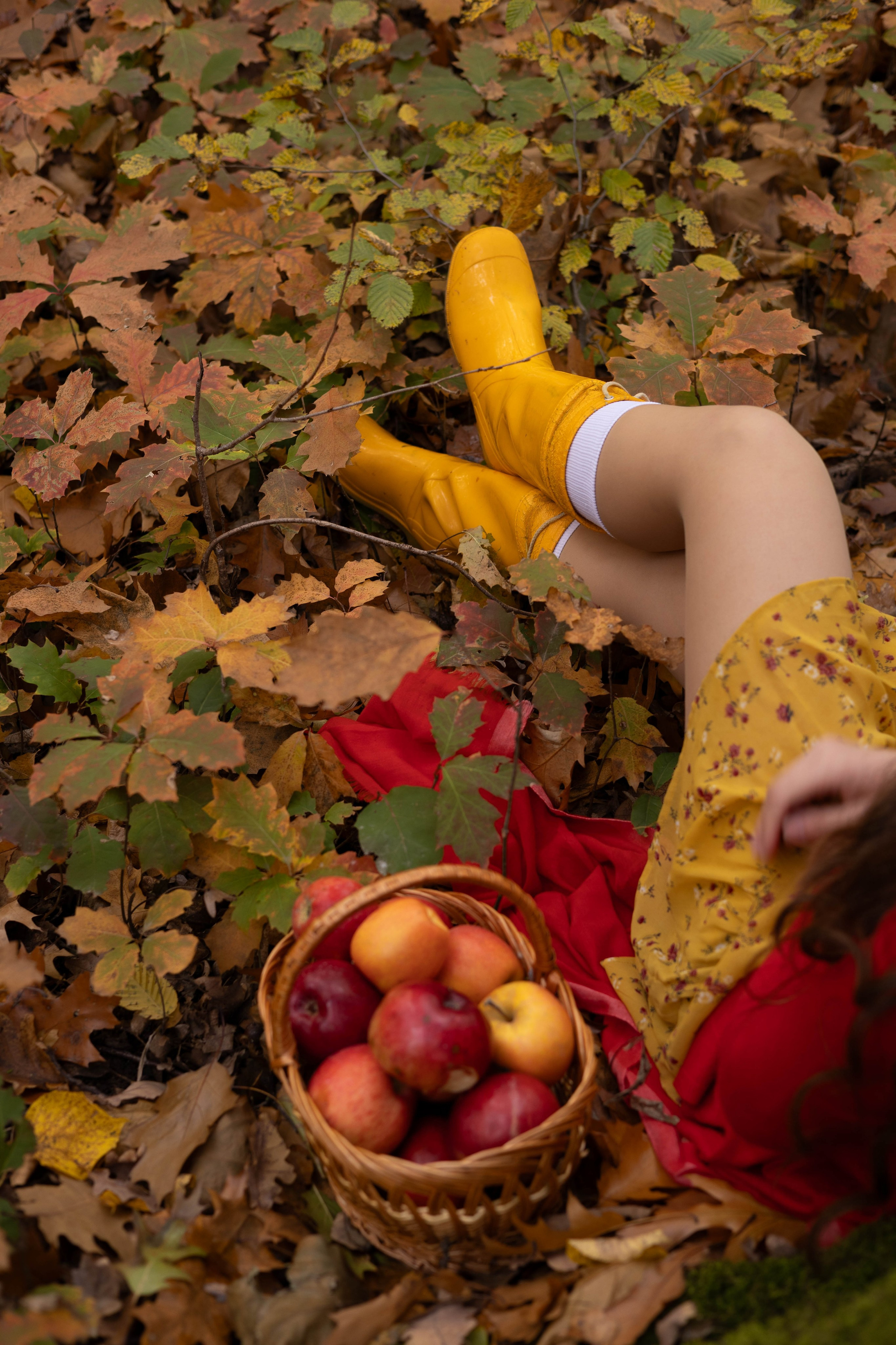 Фотограф в Чернівцях, Фотограф Чернівці