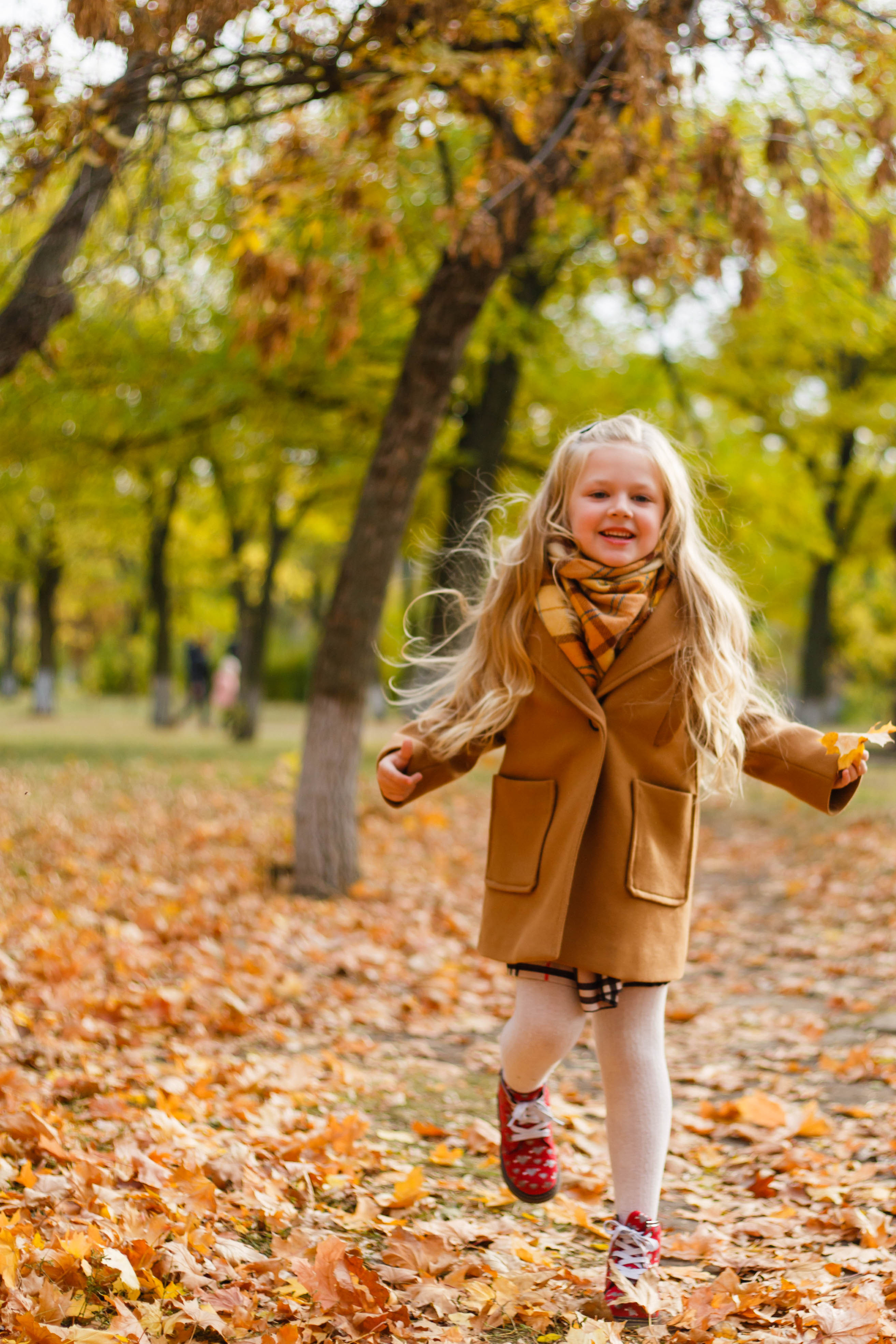 Осінь в Україні. Фотограф в Чернівцях, Фотограф Чернівці