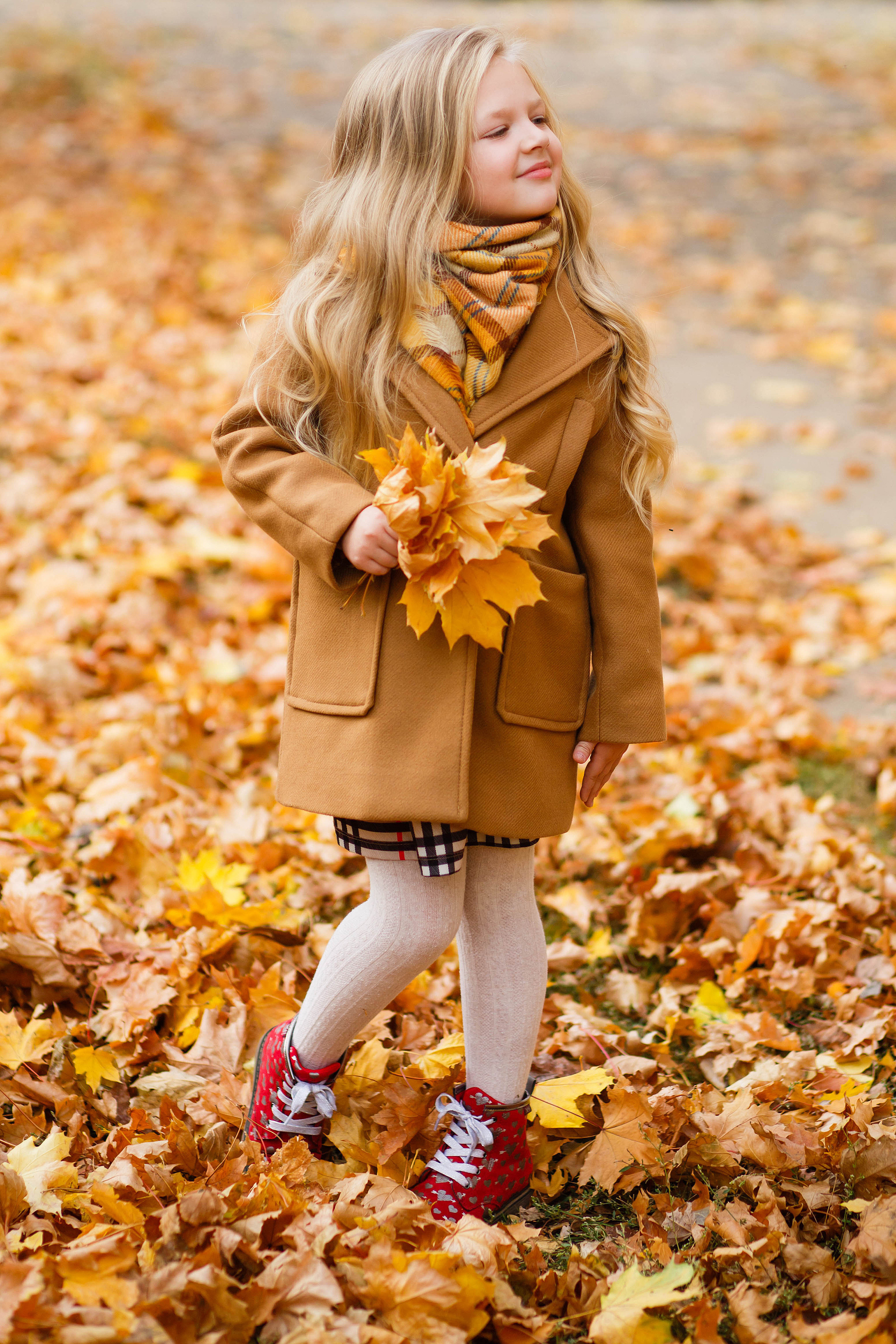 Осінь в Україні. Фотограф в Чернівцях, Фотограф Чернівці