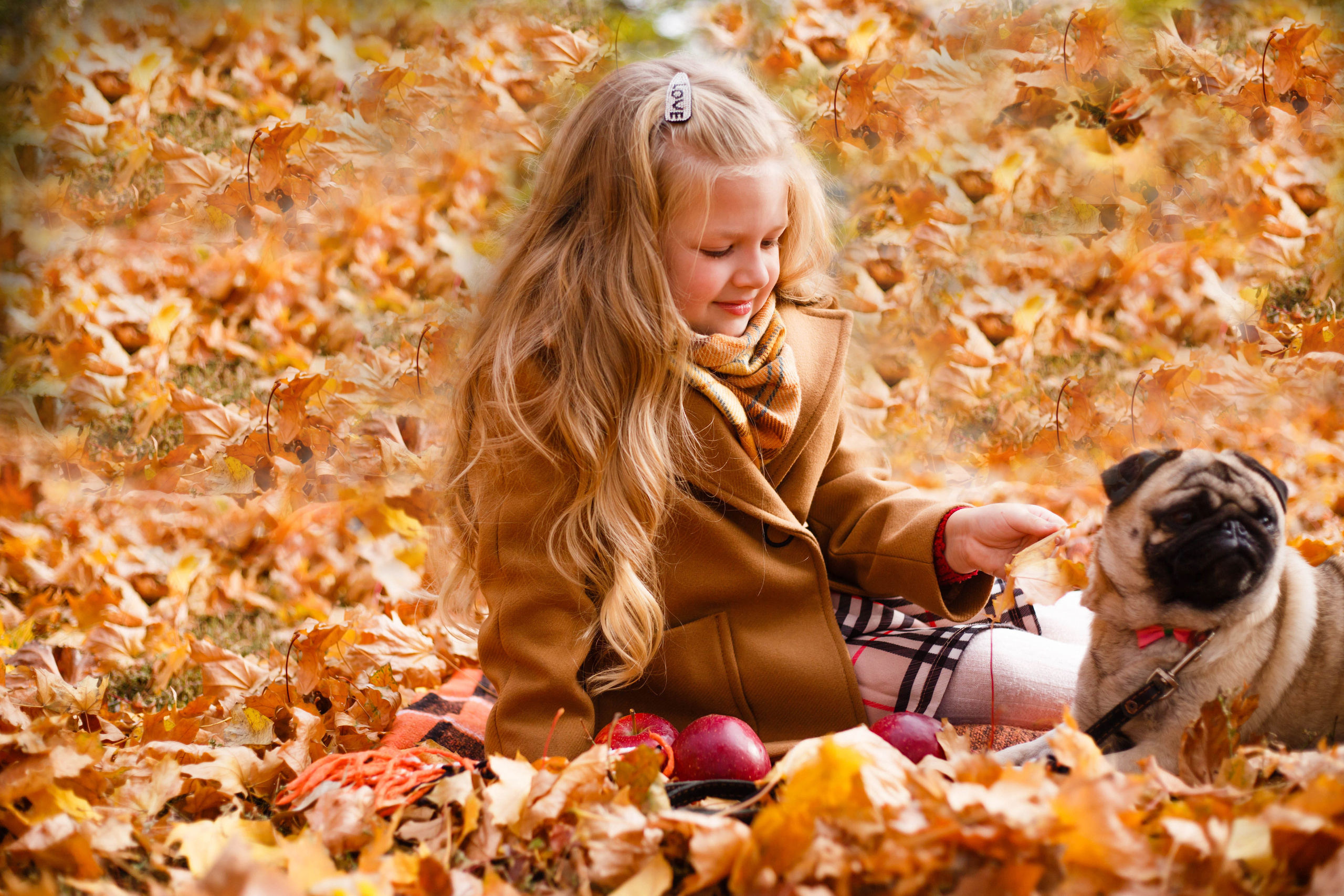 Осінь в Україні. Фотограф в Чернівцях, Фотограф Чернівці