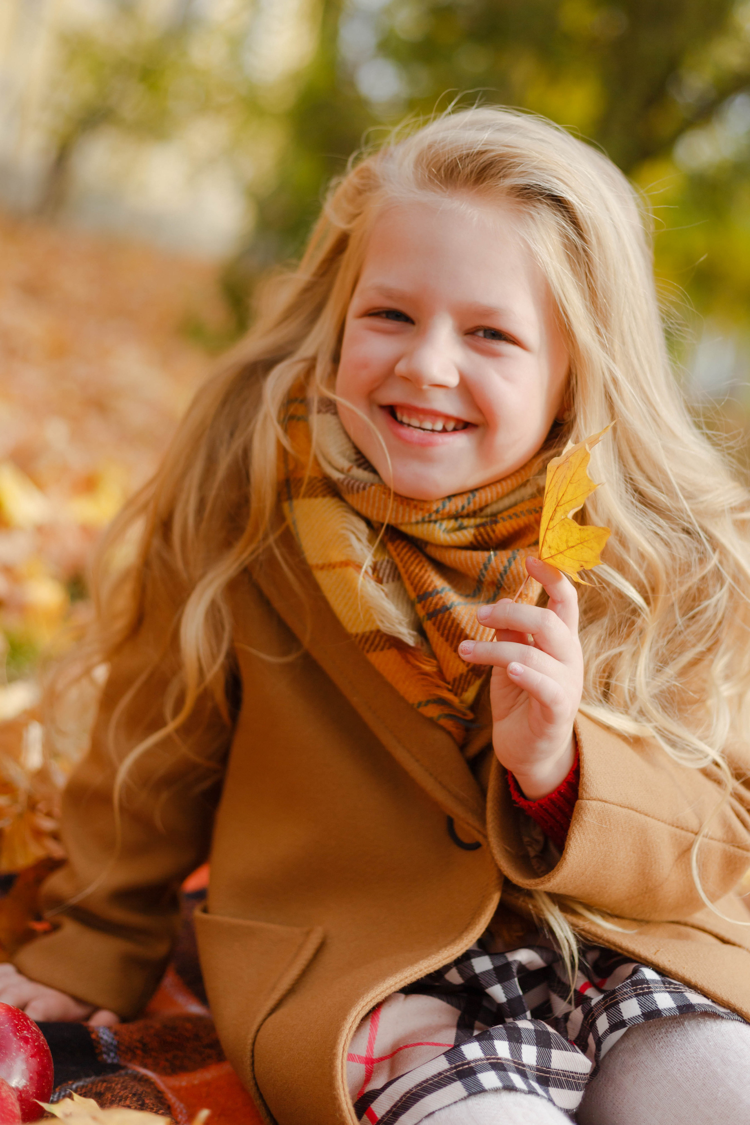 Осінь в Україні. Фотограф в Чернівцях, Фотограф Чернівці