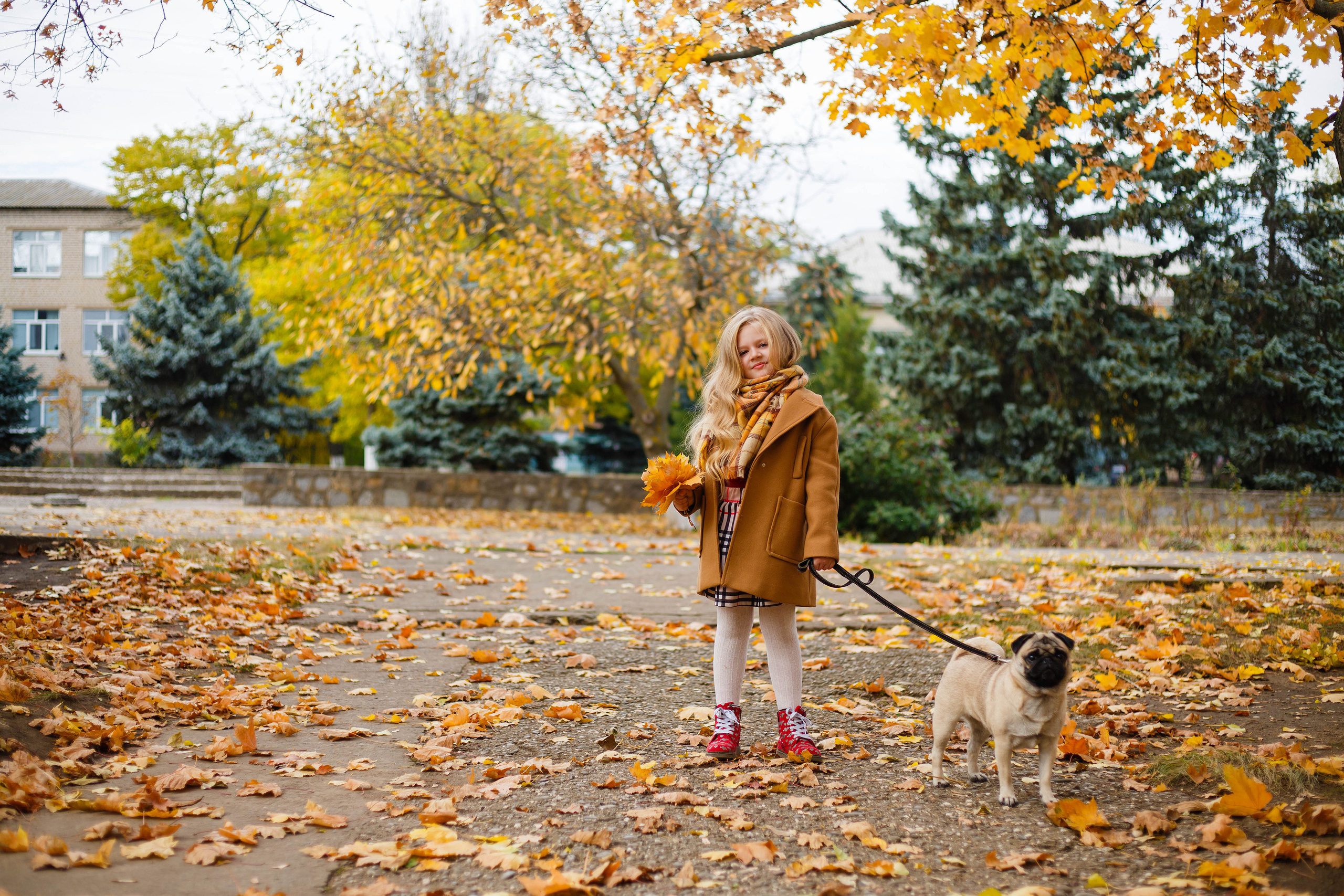 Осінь в Україні. Фотограф в Чернівцях, Фотограф Чернівці