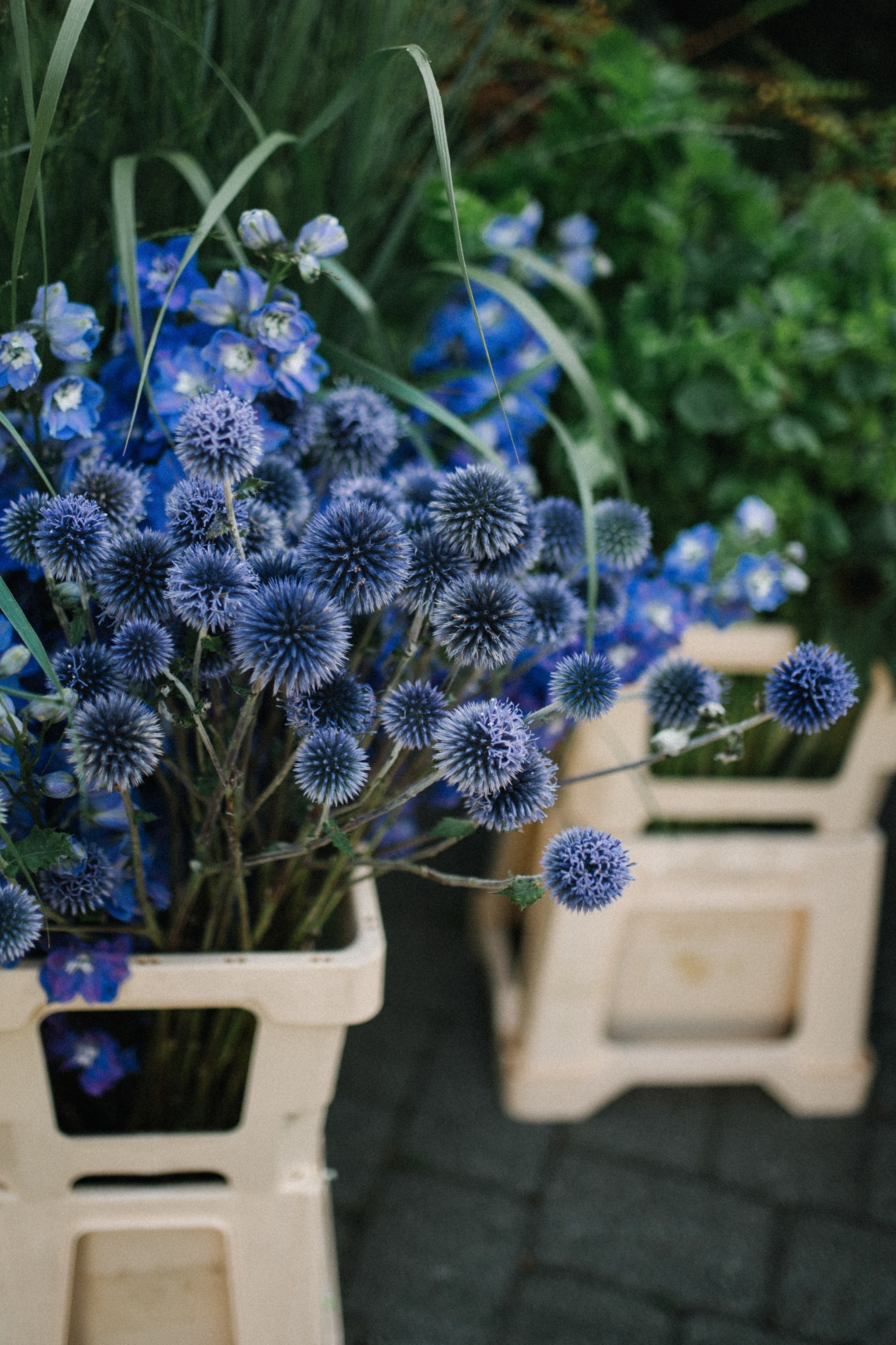 Репортаж. Portrait photographer