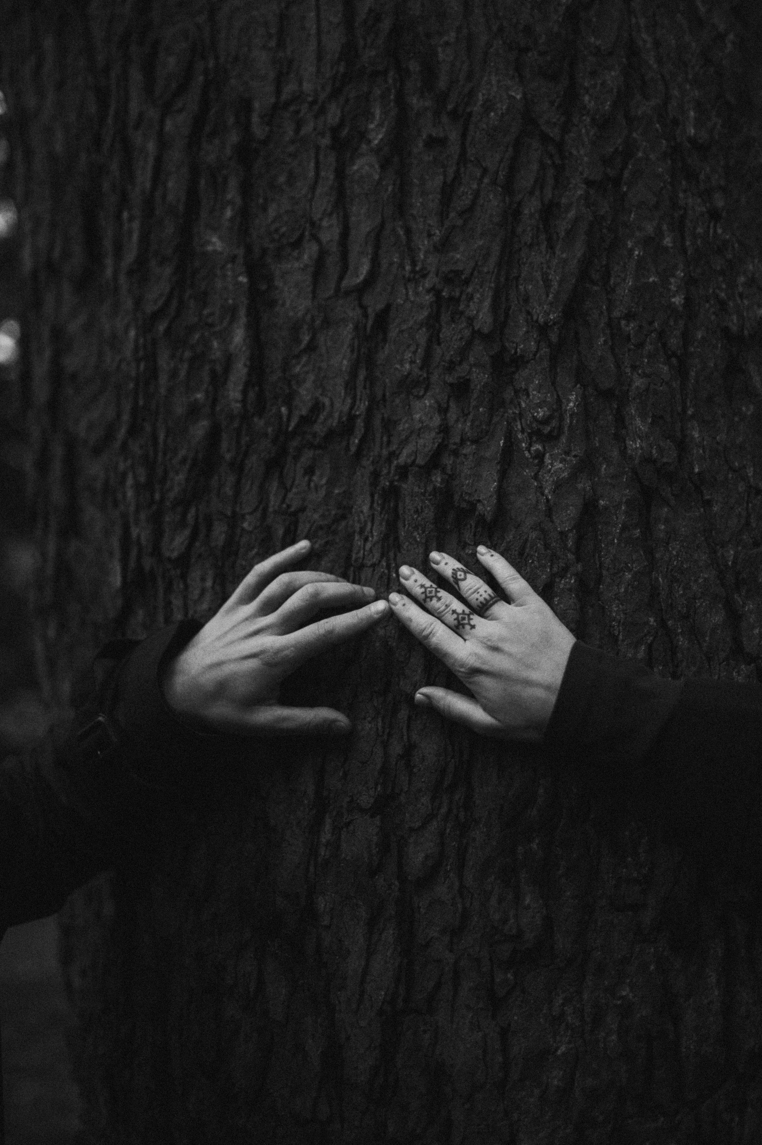 Love story. Portrait photographer