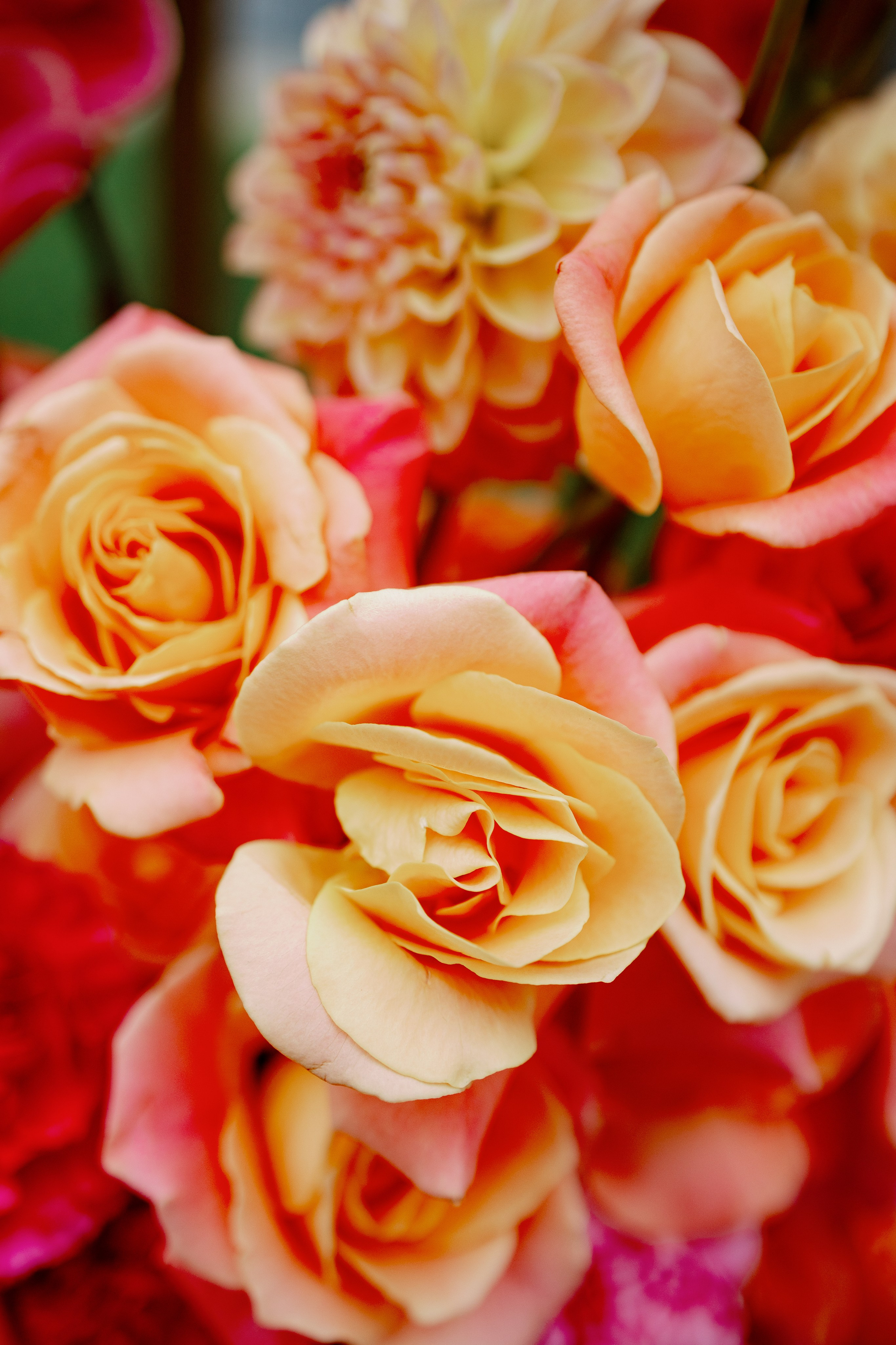 Balbiano. Wedding photographer in Italy |Florence, Roma, Como, Tuscan, Venice