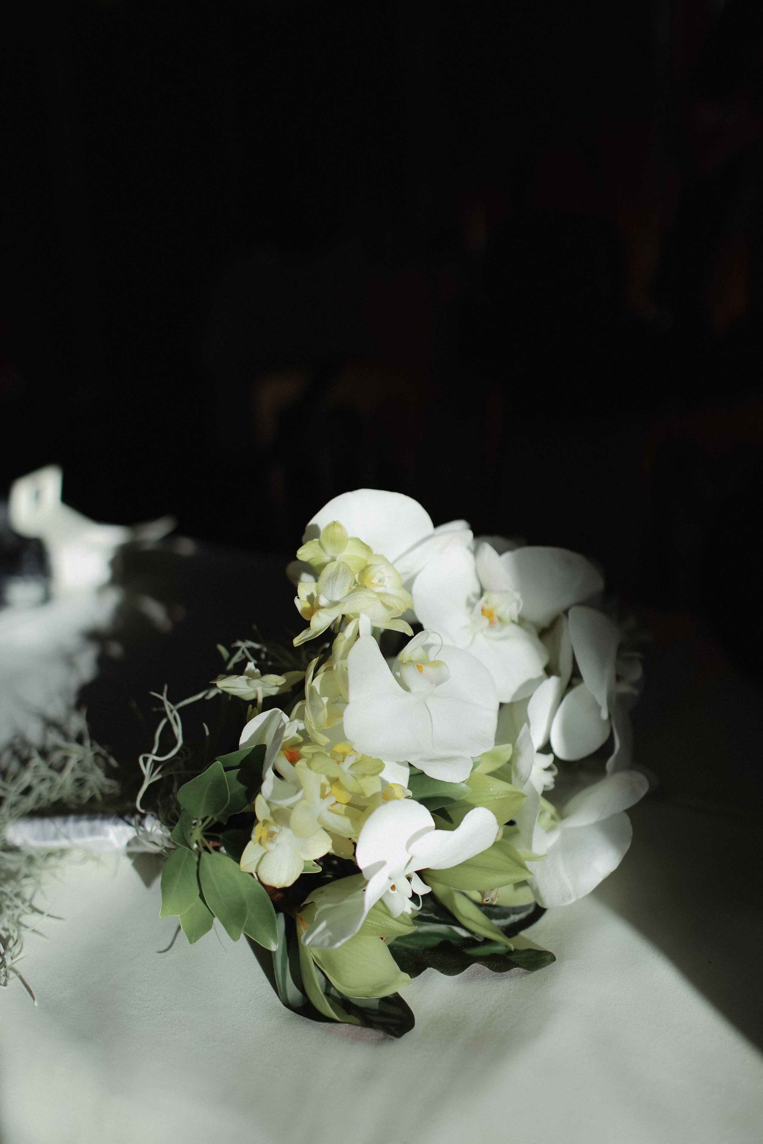 September 2024 — Wien wedding Valeria & Konstantin. Свадебный, лав стори фотограф в Праге, Европе Елизавета Гриценко