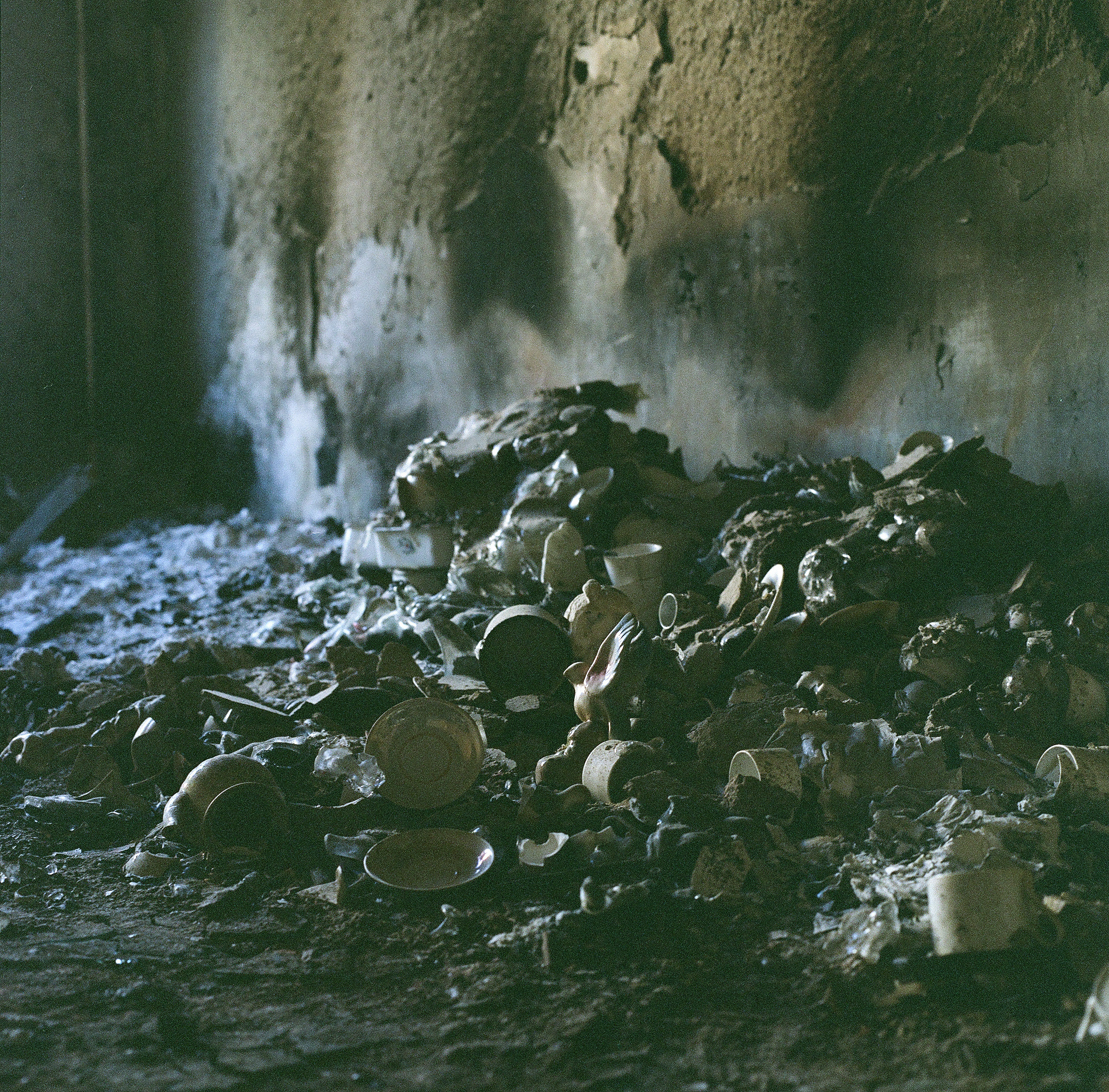 Kseniya Halubovich Photography