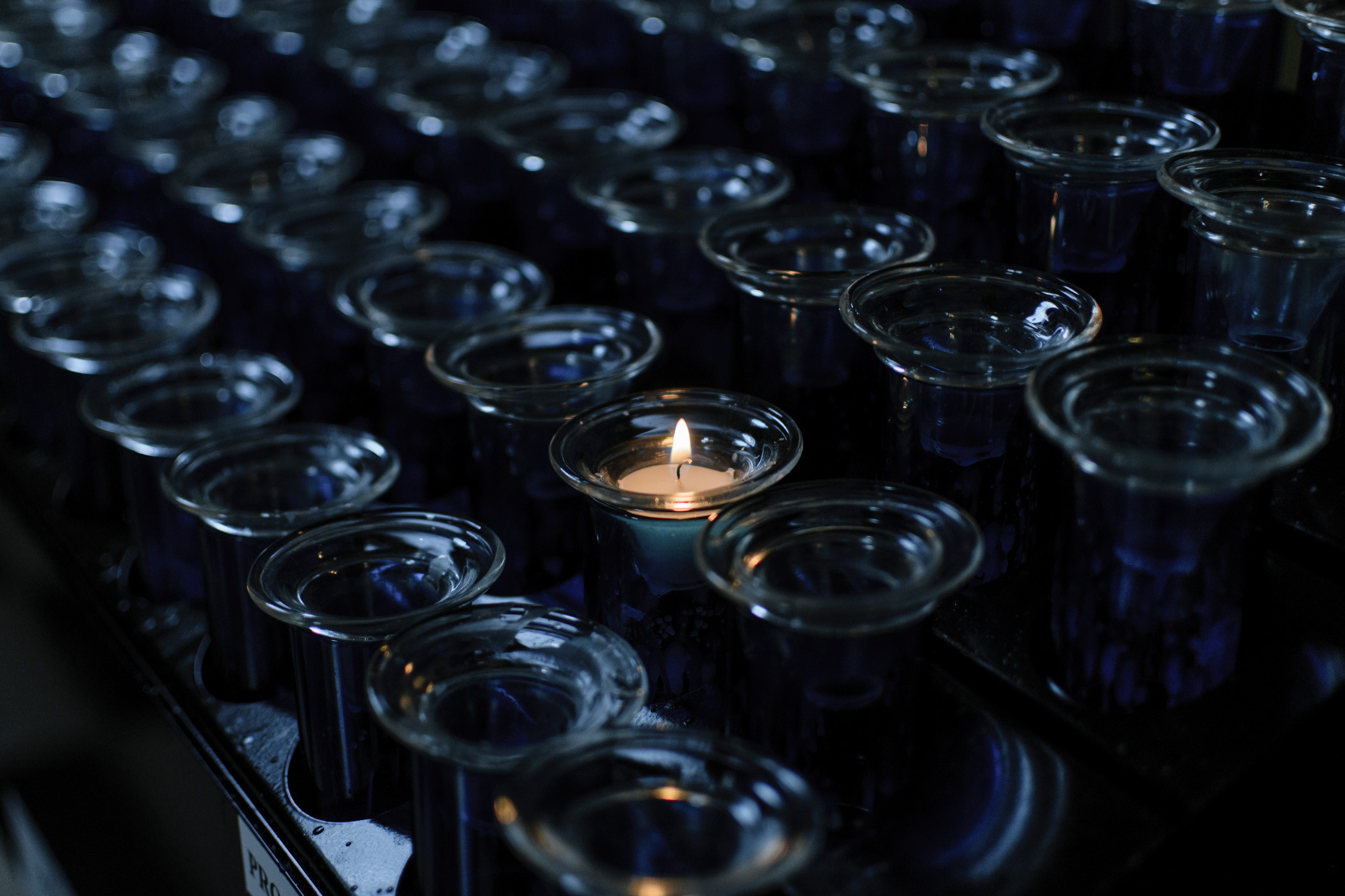 Kameralny ślub w gronie najbliższych. NK Picture - Fotograf Lublin, Warszawa