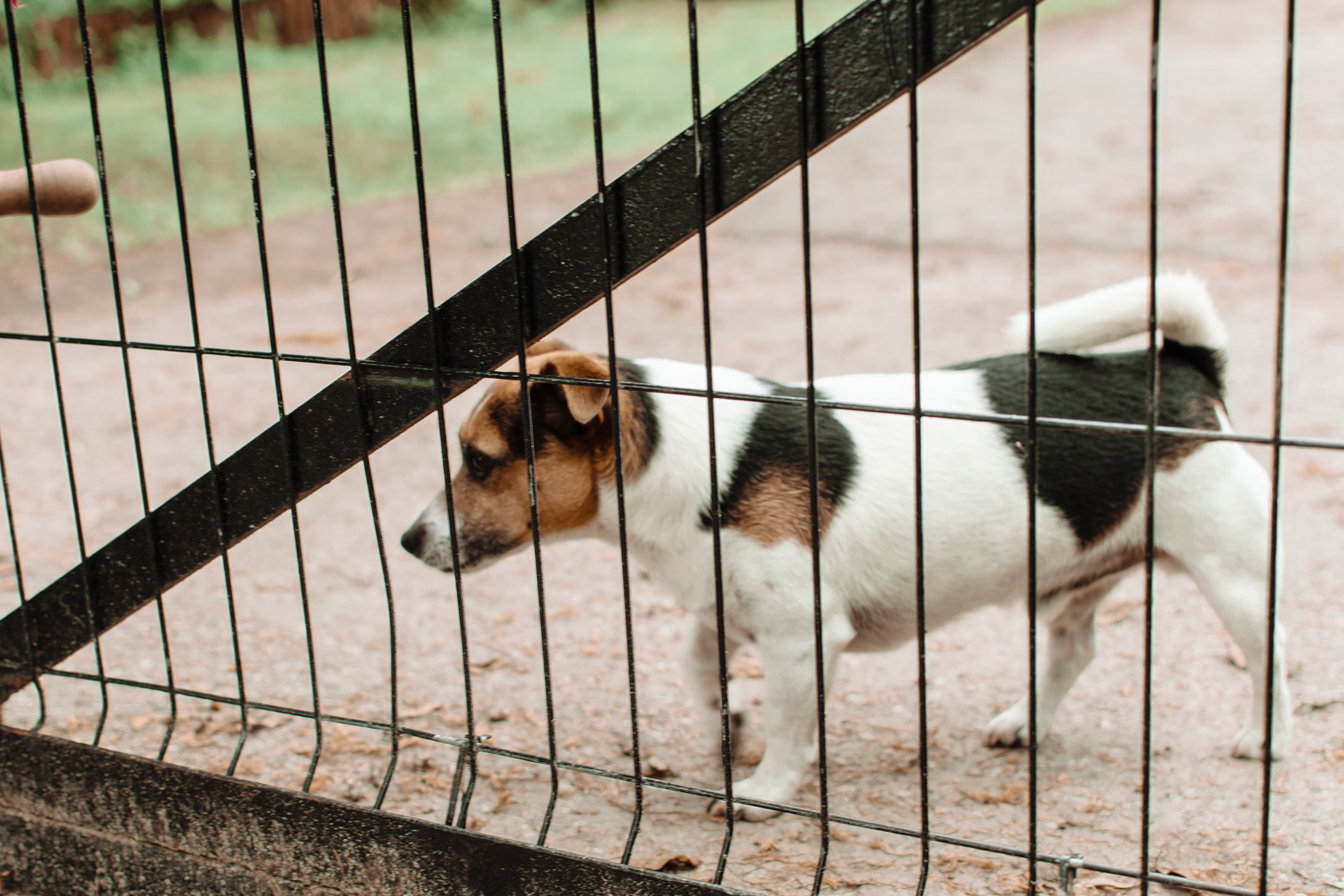 Oj się działo…. NK Picture - Fotograf Lublin, Warszawa