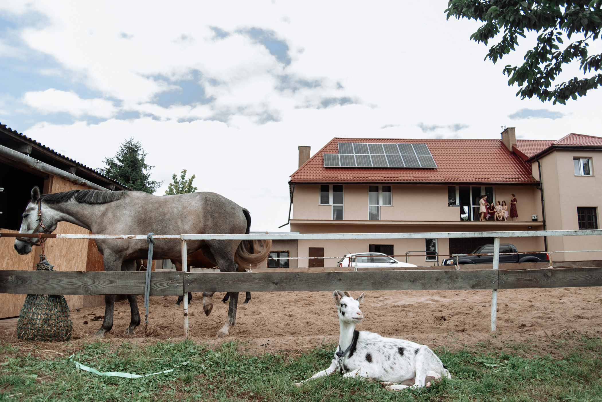 Oj się działo…. NK Picture - Fotograf Lublin, Warszawa