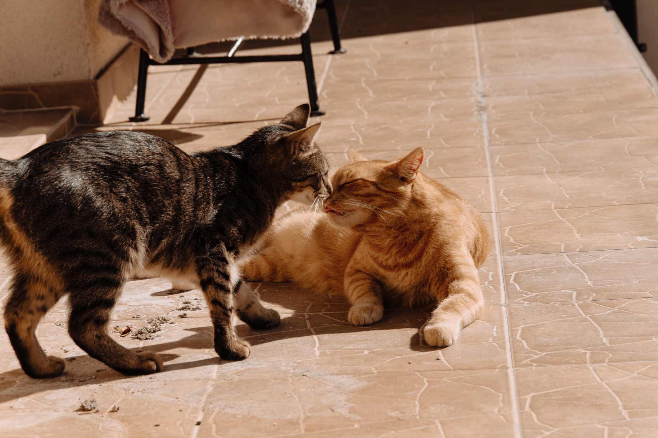 Oj się działo…. NK Picture - Fotograf Lublin, Warszawa