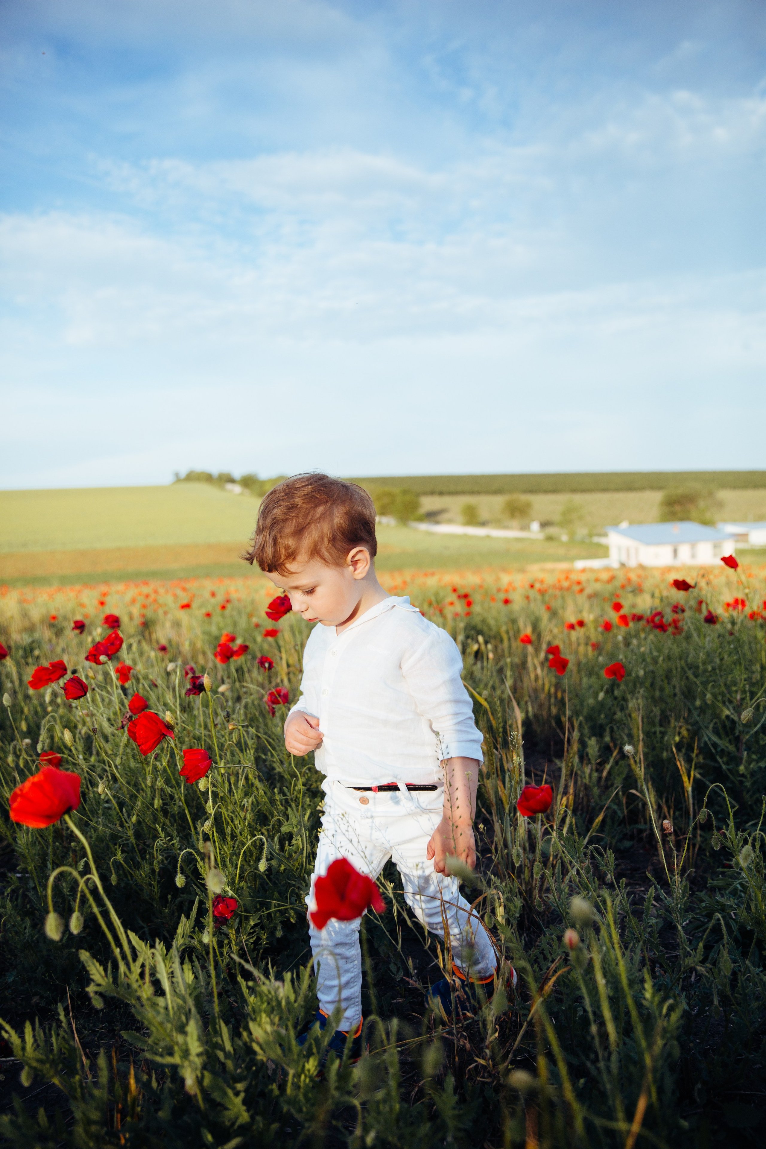 Ședințe foto de familie. Fotograf de nuntă și evenimente private!