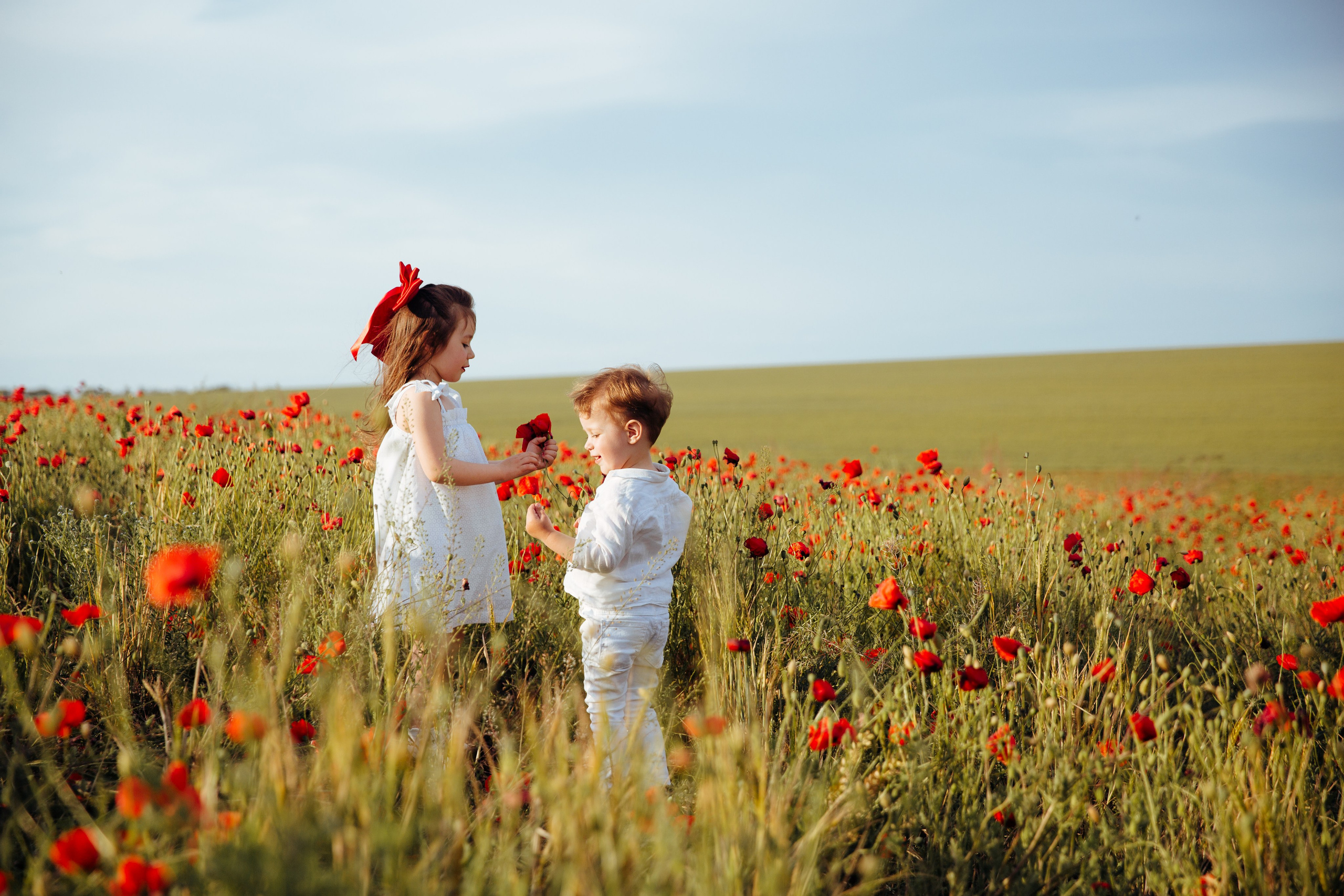 Ședințe foto de familie. Fotograf de nuntă și evenimente private!