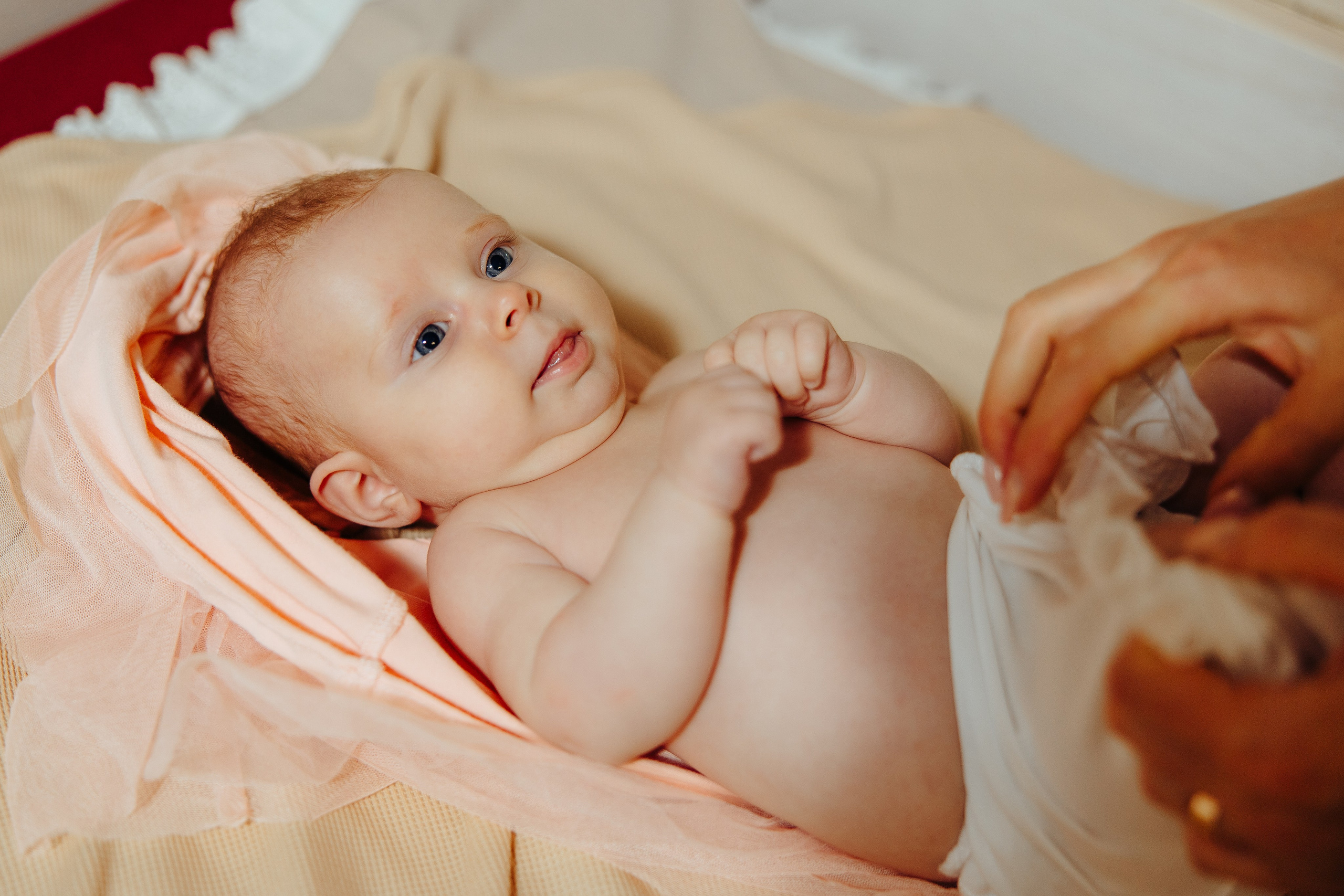 Botez. Fotograf de nuntă și evenimente private!