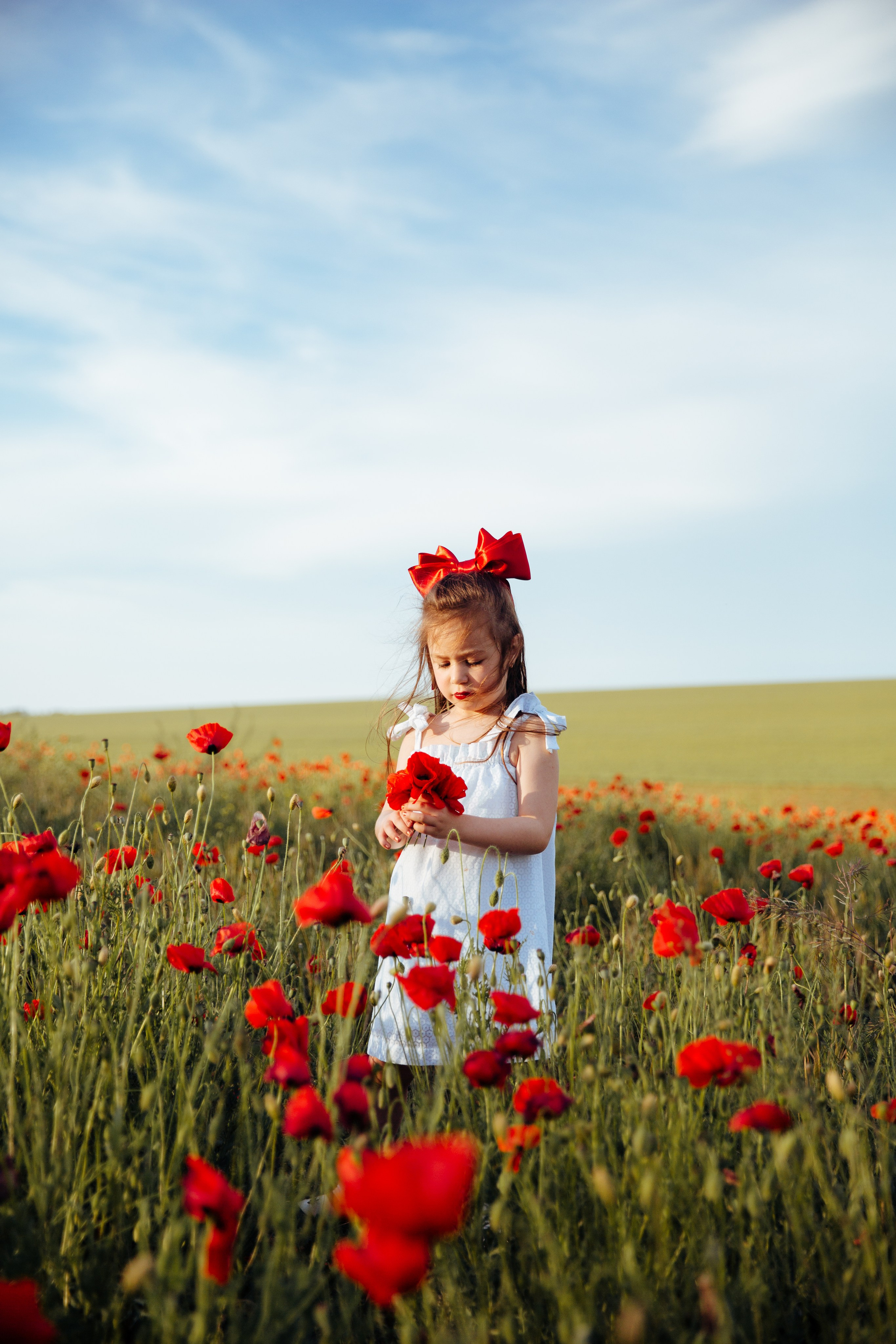 Ședințe foto de familie. Fotograf de nuntă și evenimente private!