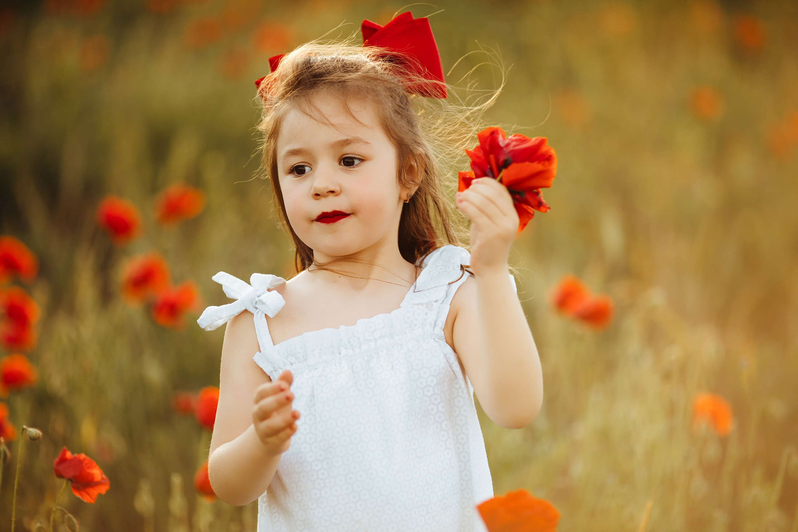 Ședințe foto de familie. Fotograf de nuntă și evenimente private!