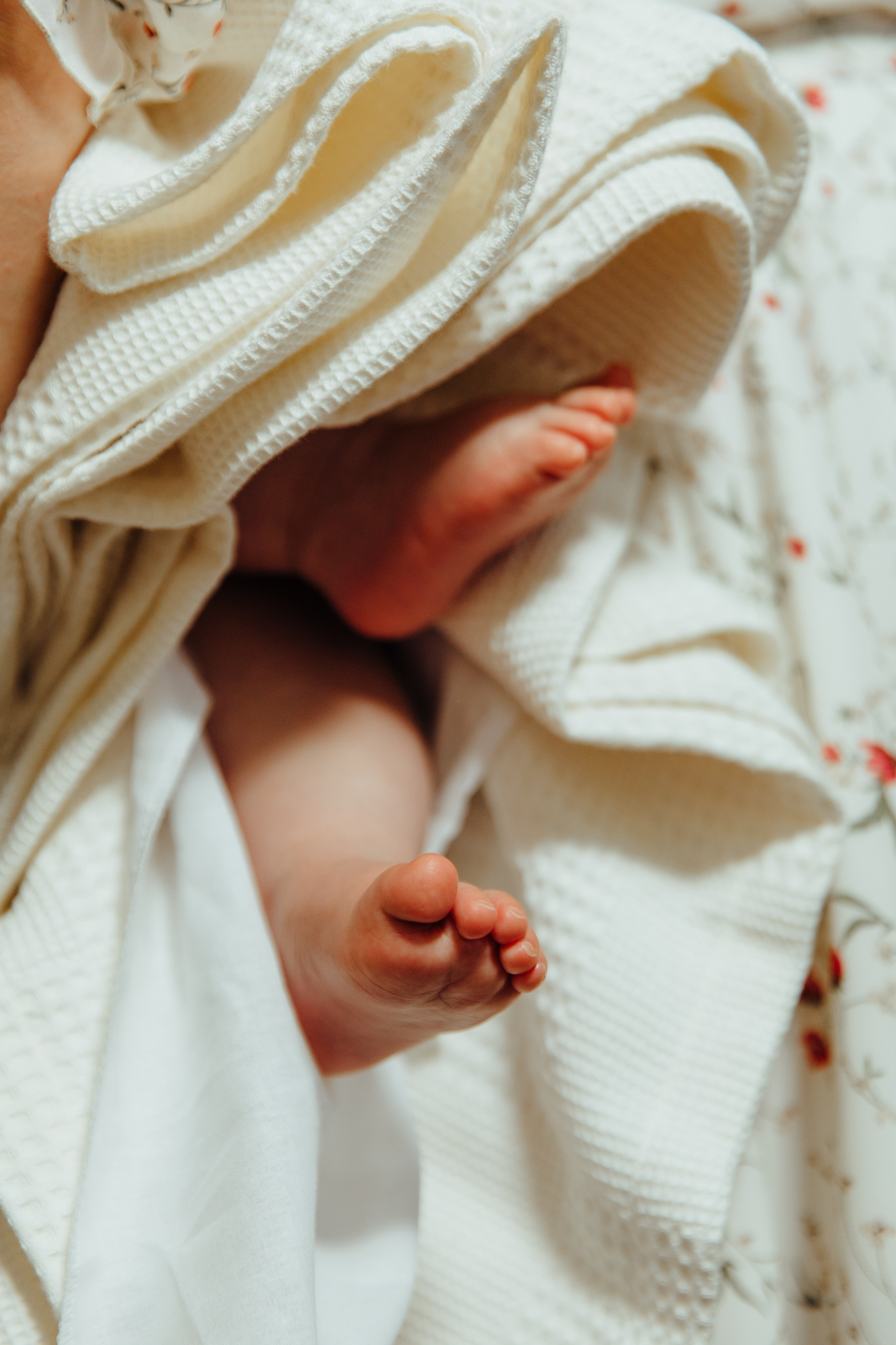 Botez Iachim. Fotograf de nuntă și evenimente private!