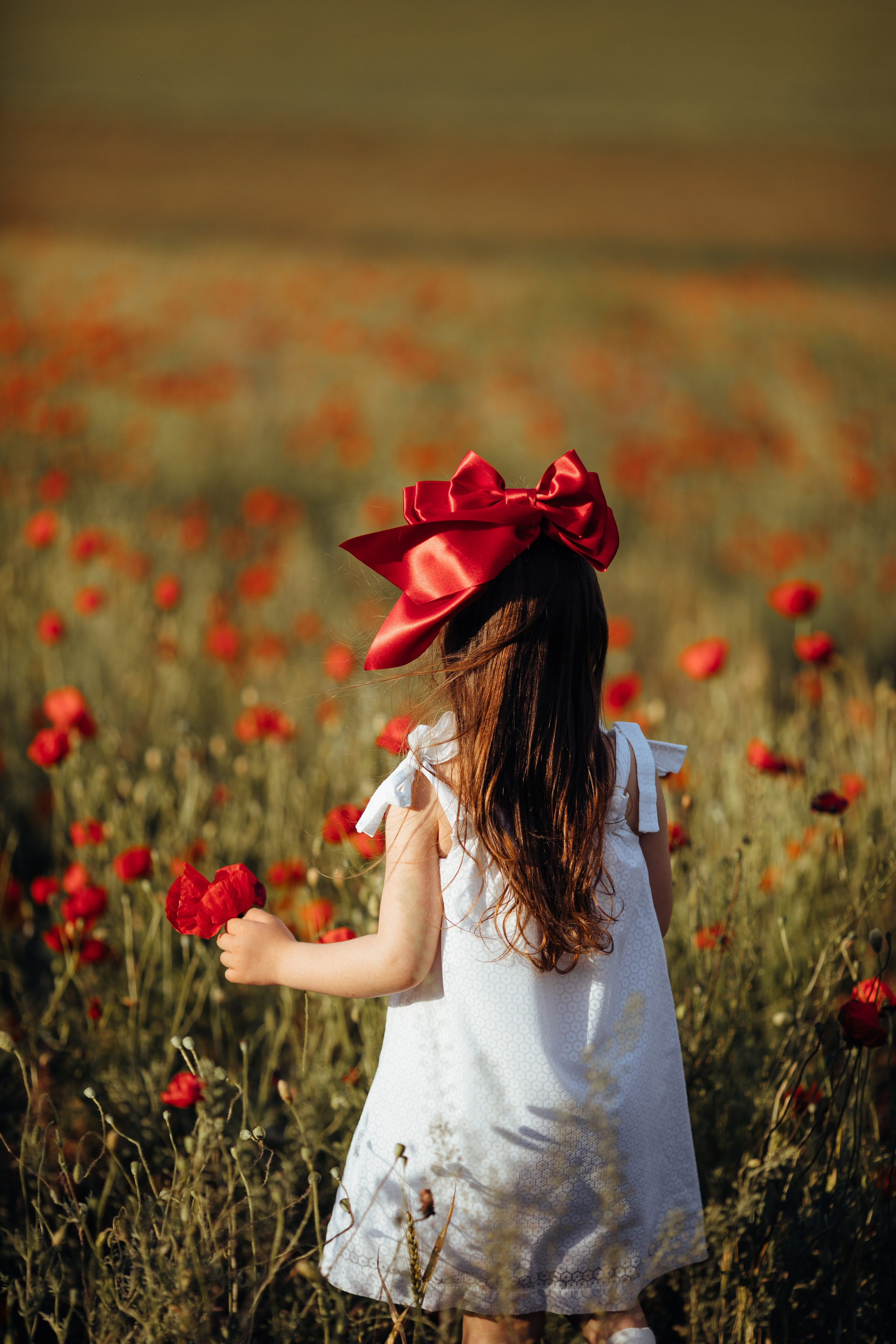Ședințe foto de familie. Fotograf de nuntă și evenimente private!