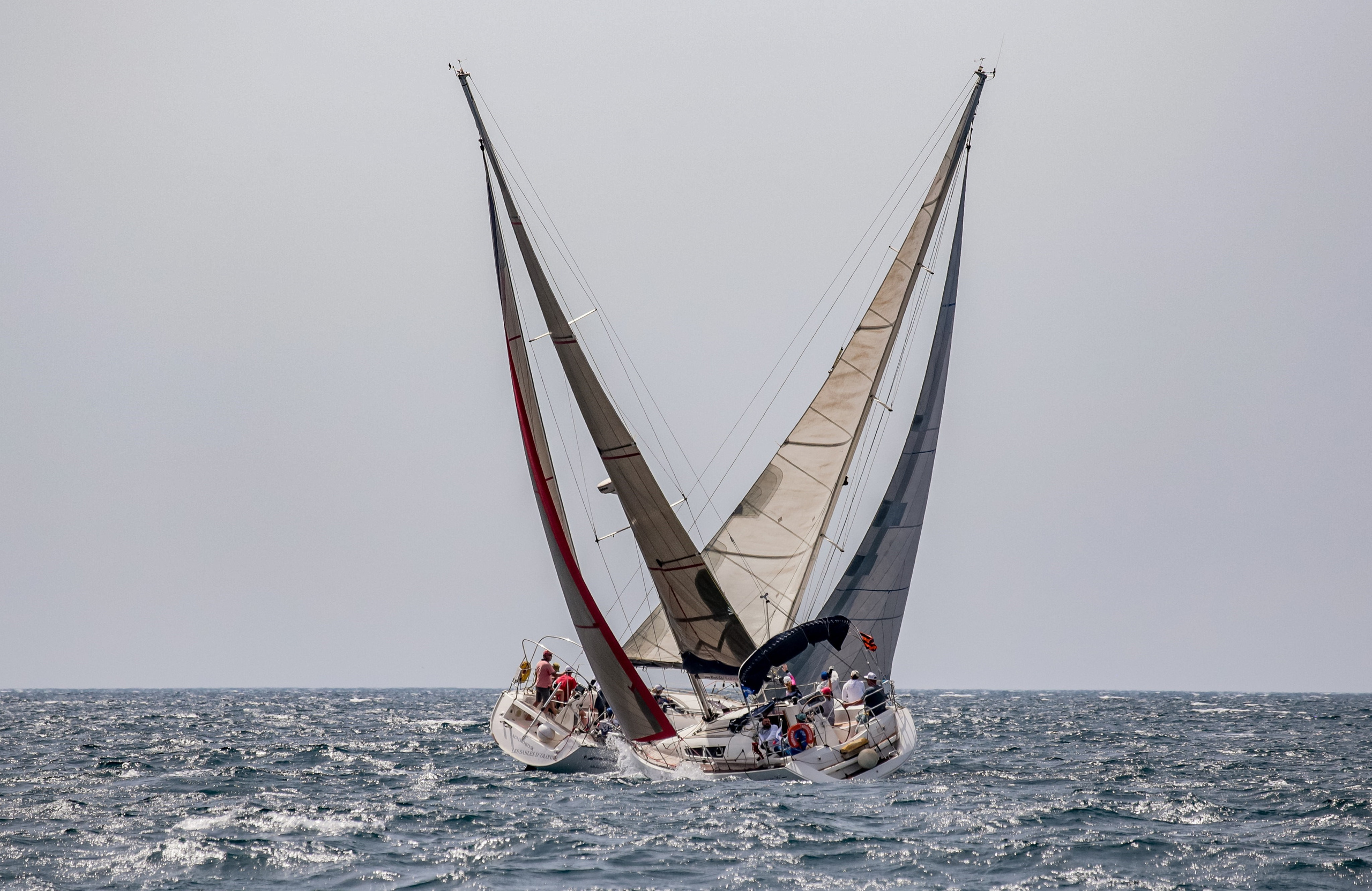 Регата. Фотограф в Севастополе Ирина Горобец