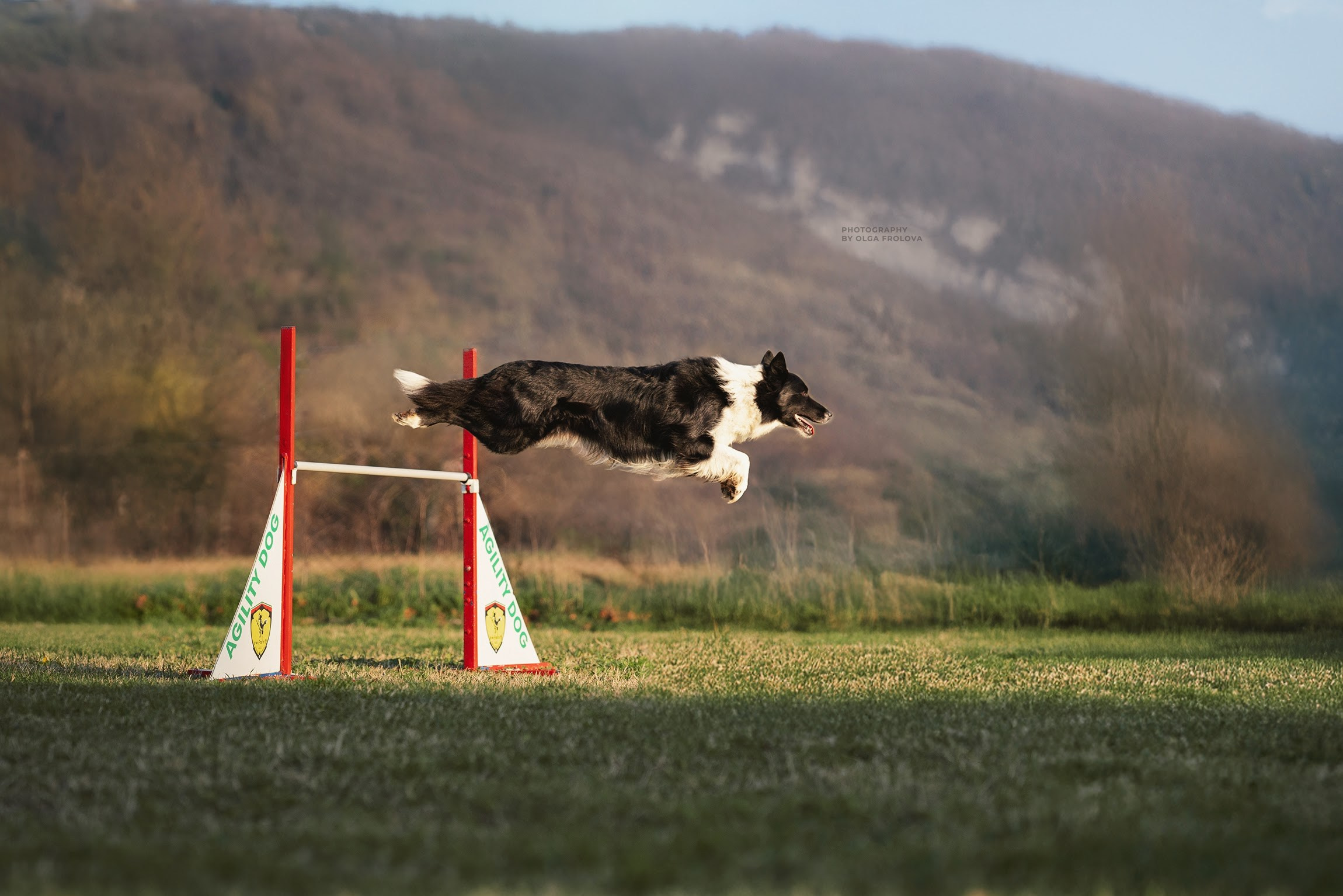 Fotografo Riccione, fotografie al aperto, famiglie, ritratti, bambini, animali domestici, fotografia cani a riccione, rimini, emilia romagna. Fotografa a Riccione, ritratti di bambini e famiglia, animali domestici