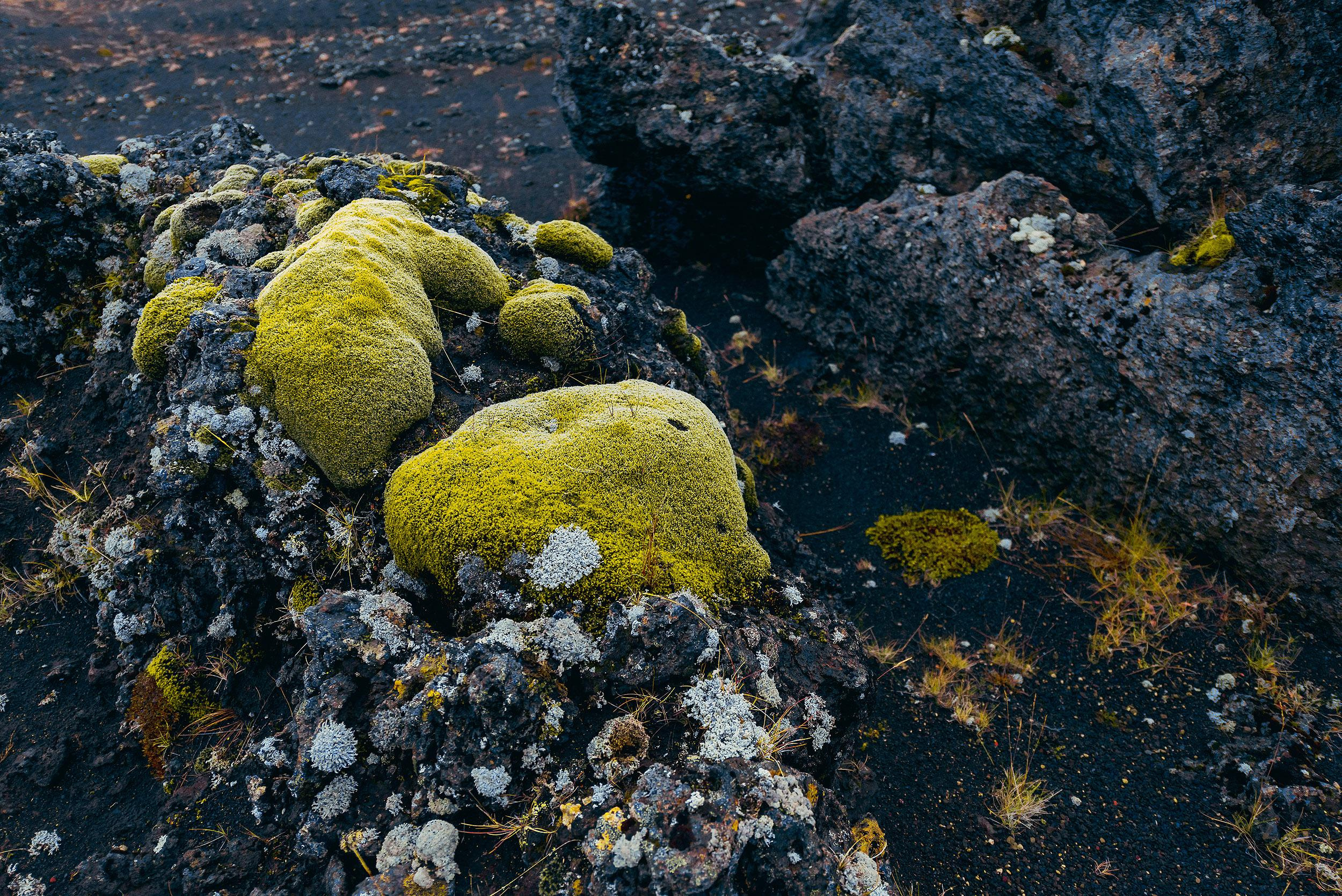Iceland. Family and wedding photographer in Norway Bublik Polina