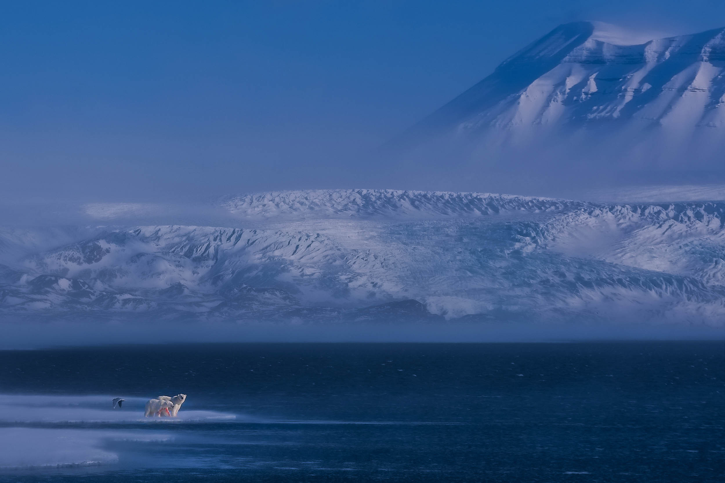 Svalbard. Winter. Day. Family and wedding photographer in Norway Bublik Polina