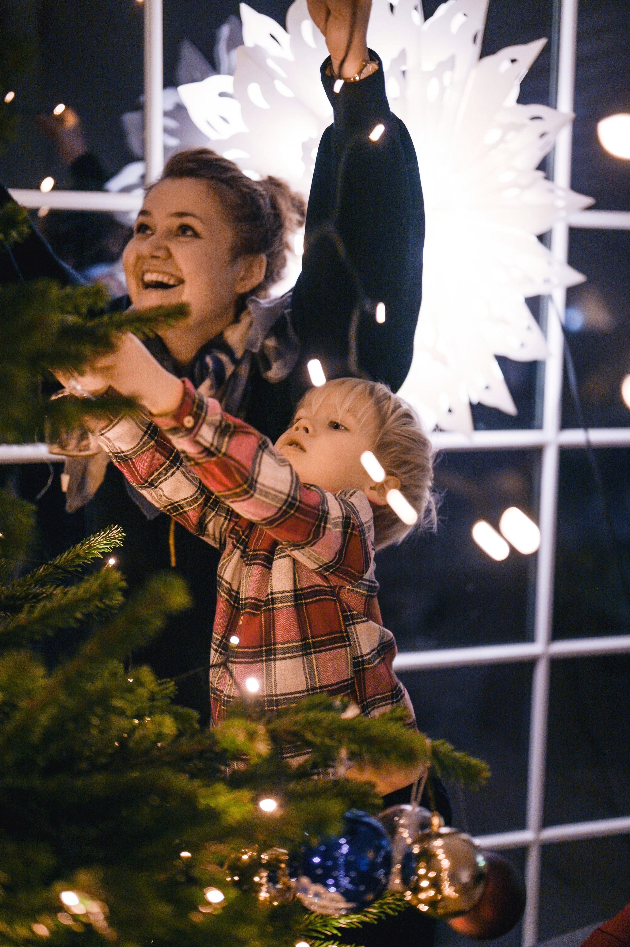 Juletre. Family and wedding photographer in Norway Bublik Polina