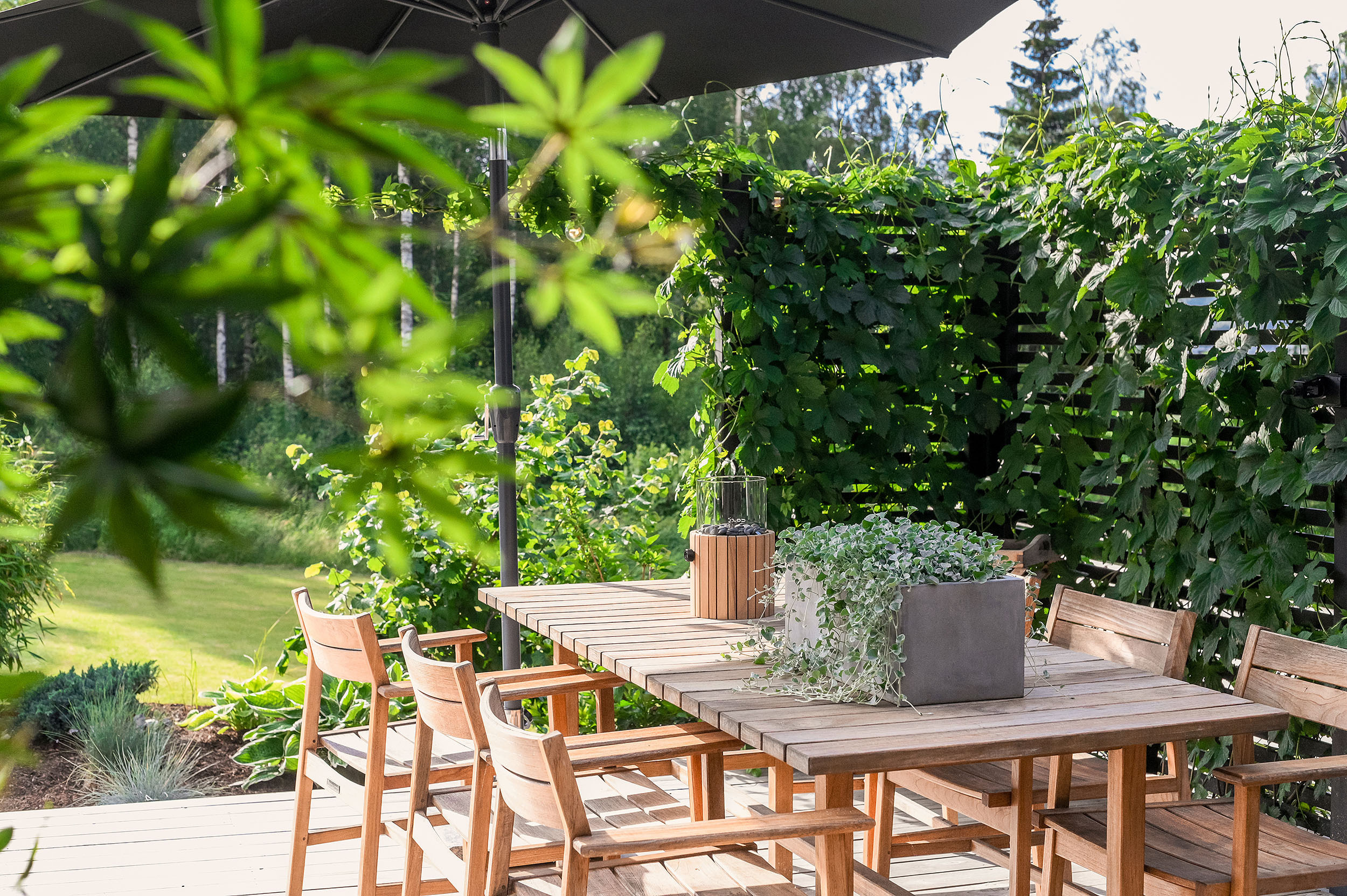 -3-. Family and wedding photographer in Norway Bublik Polina