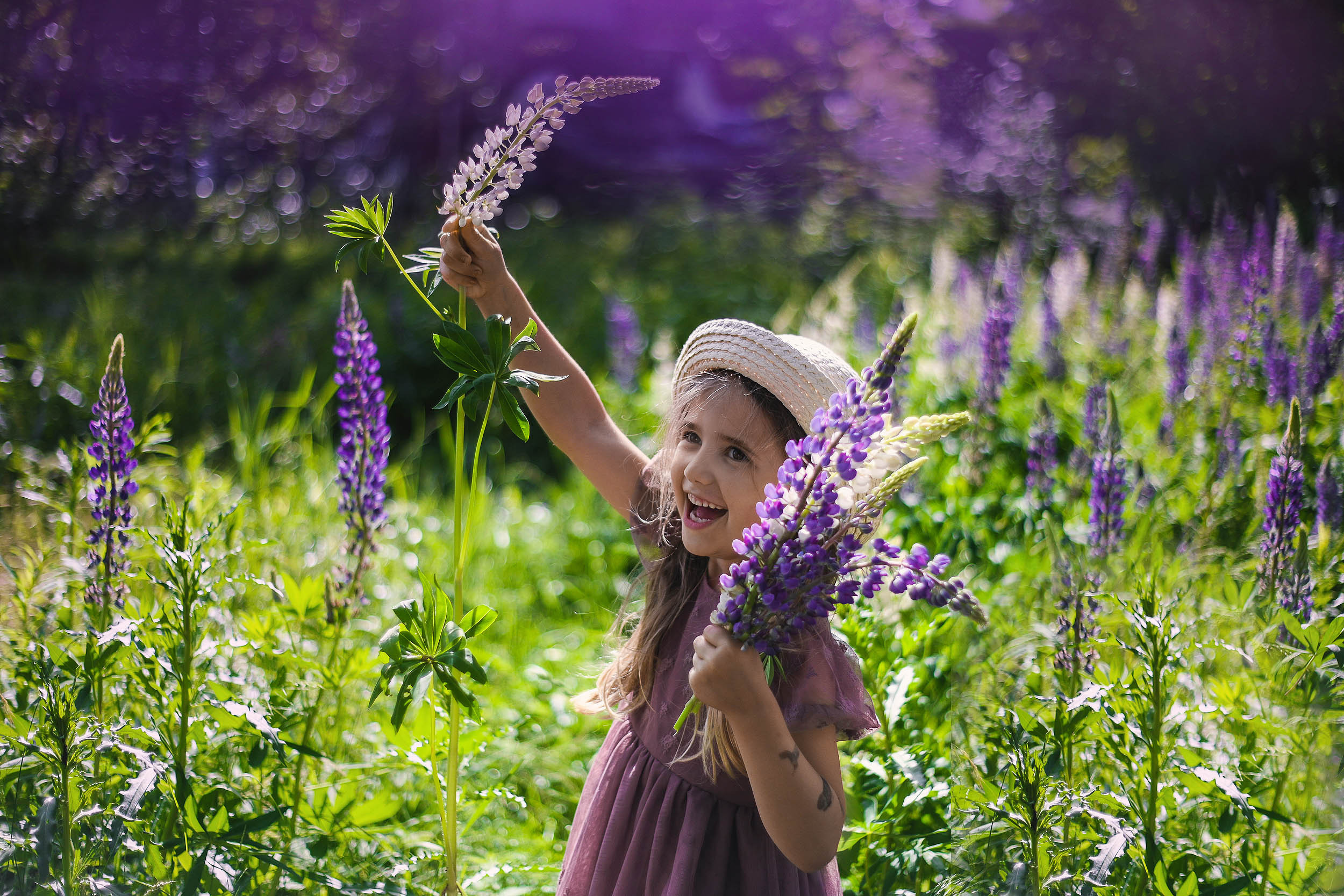 Lupin. Family and wedding photographer in Norway Bublik Polina