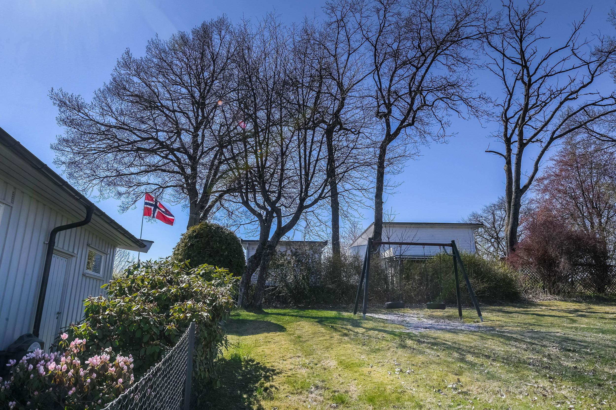 -2-. Family and wedding photographer in Norway Bublik Polina