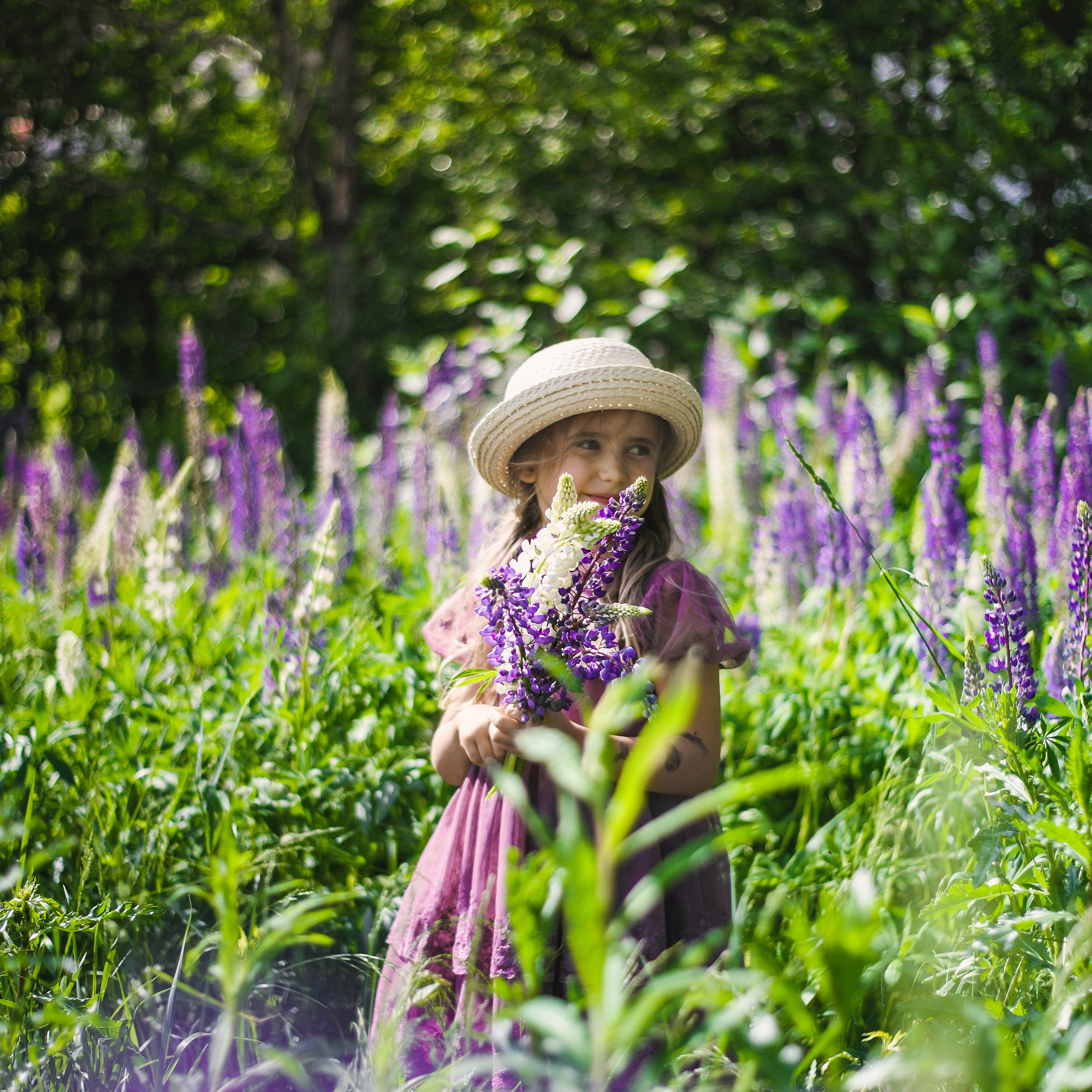 Lupin. Family and wedding photographer in Norway Bublik Polina