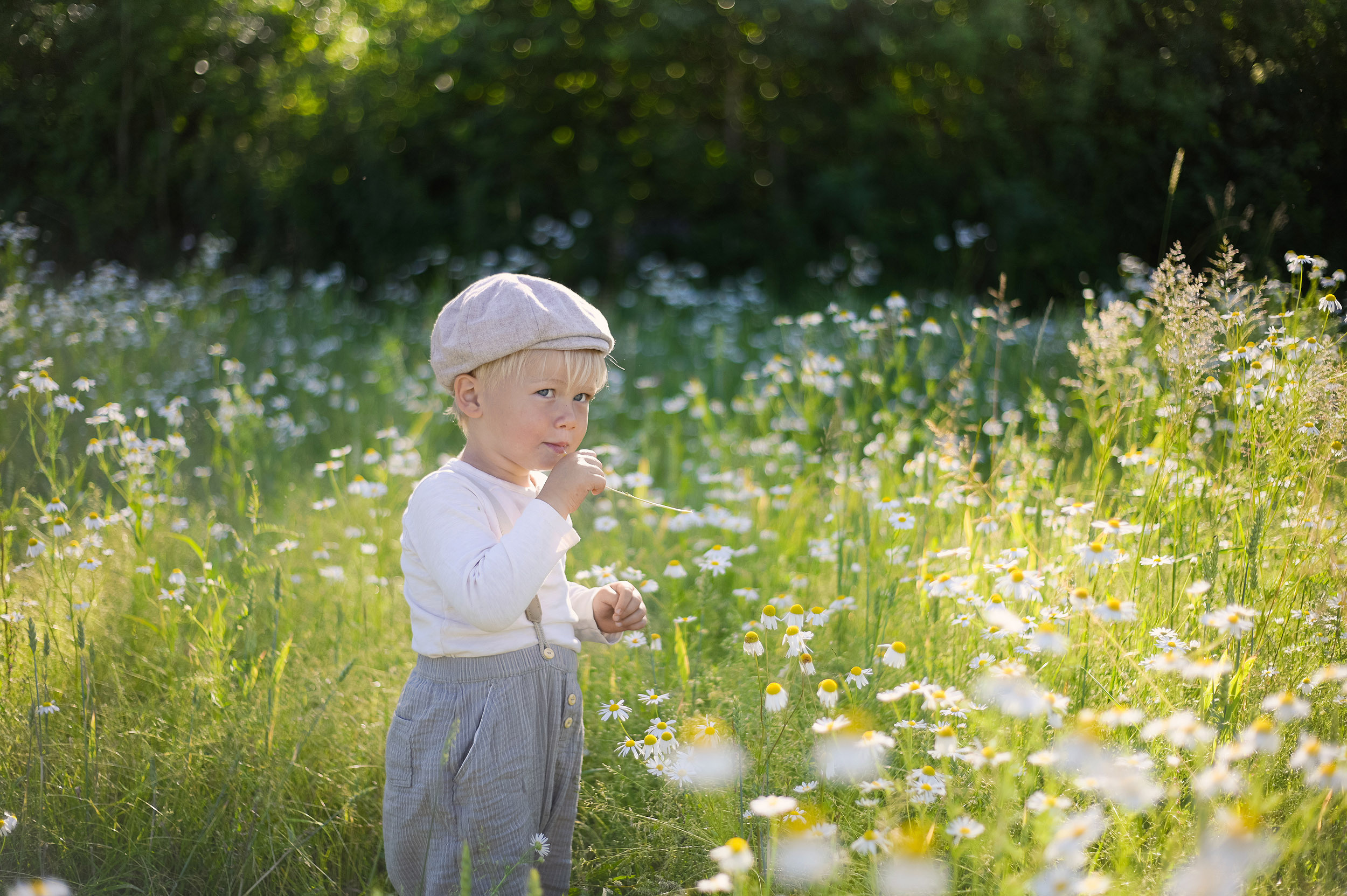 Kamiller. Family and wedding photographer in Norway Bublik Polina