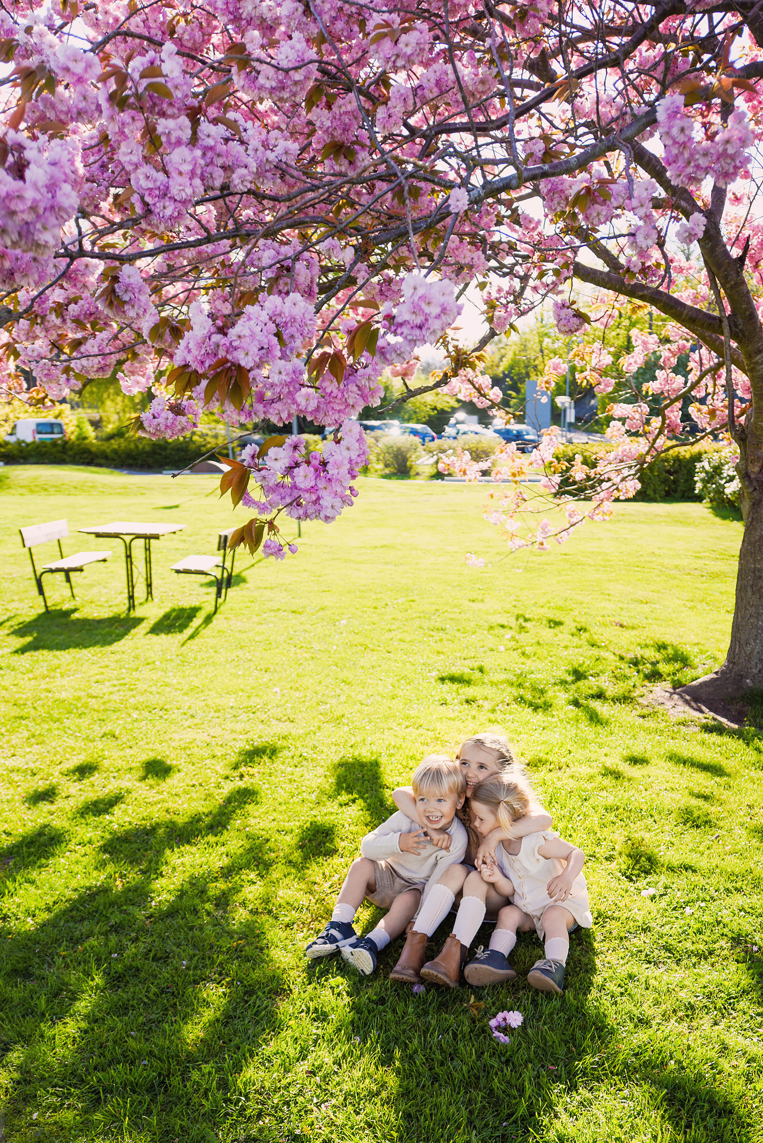 Viki + 3🐒🐒🐒. Family and wedding photographer in Norway Bublik Polina