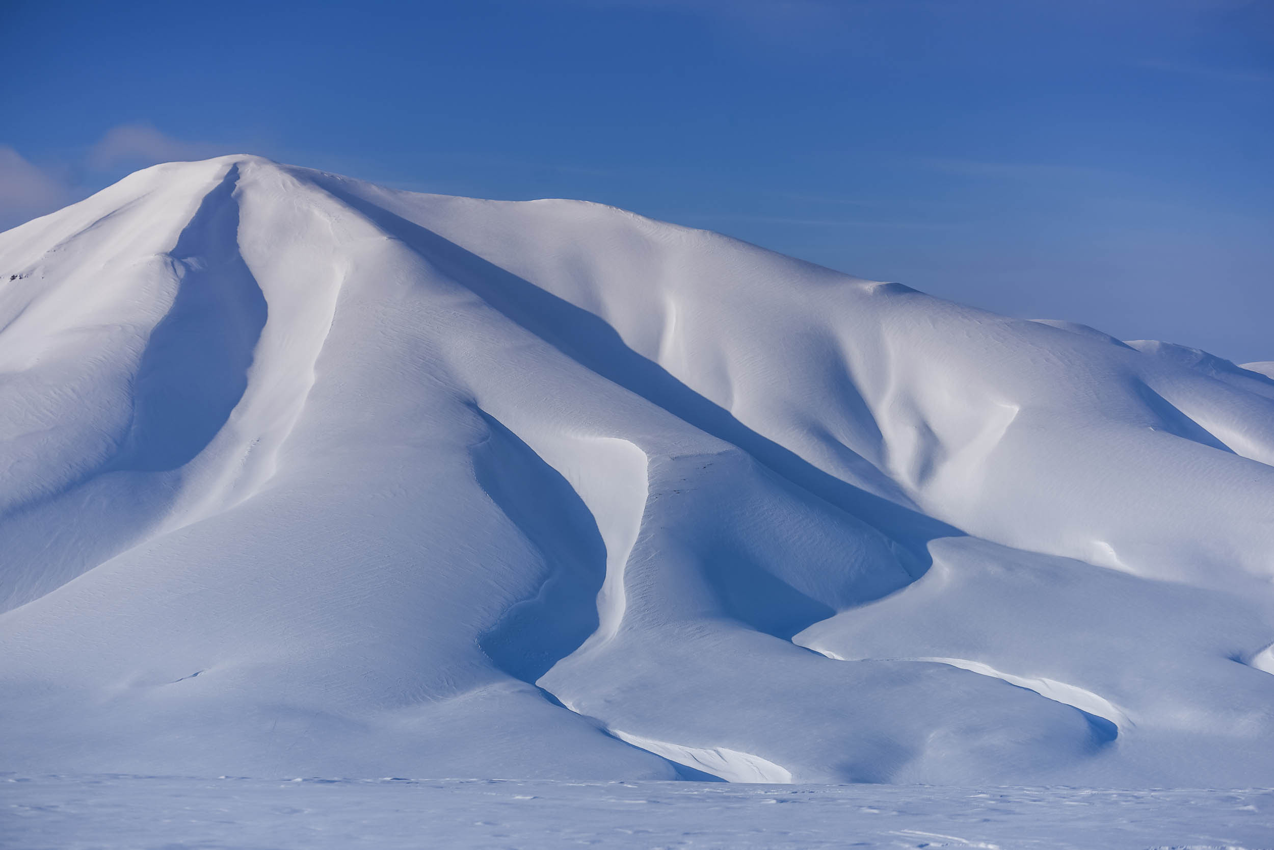 Svalbard. Winter. Day. Family and wedding photographer in Norway Bublik Polina