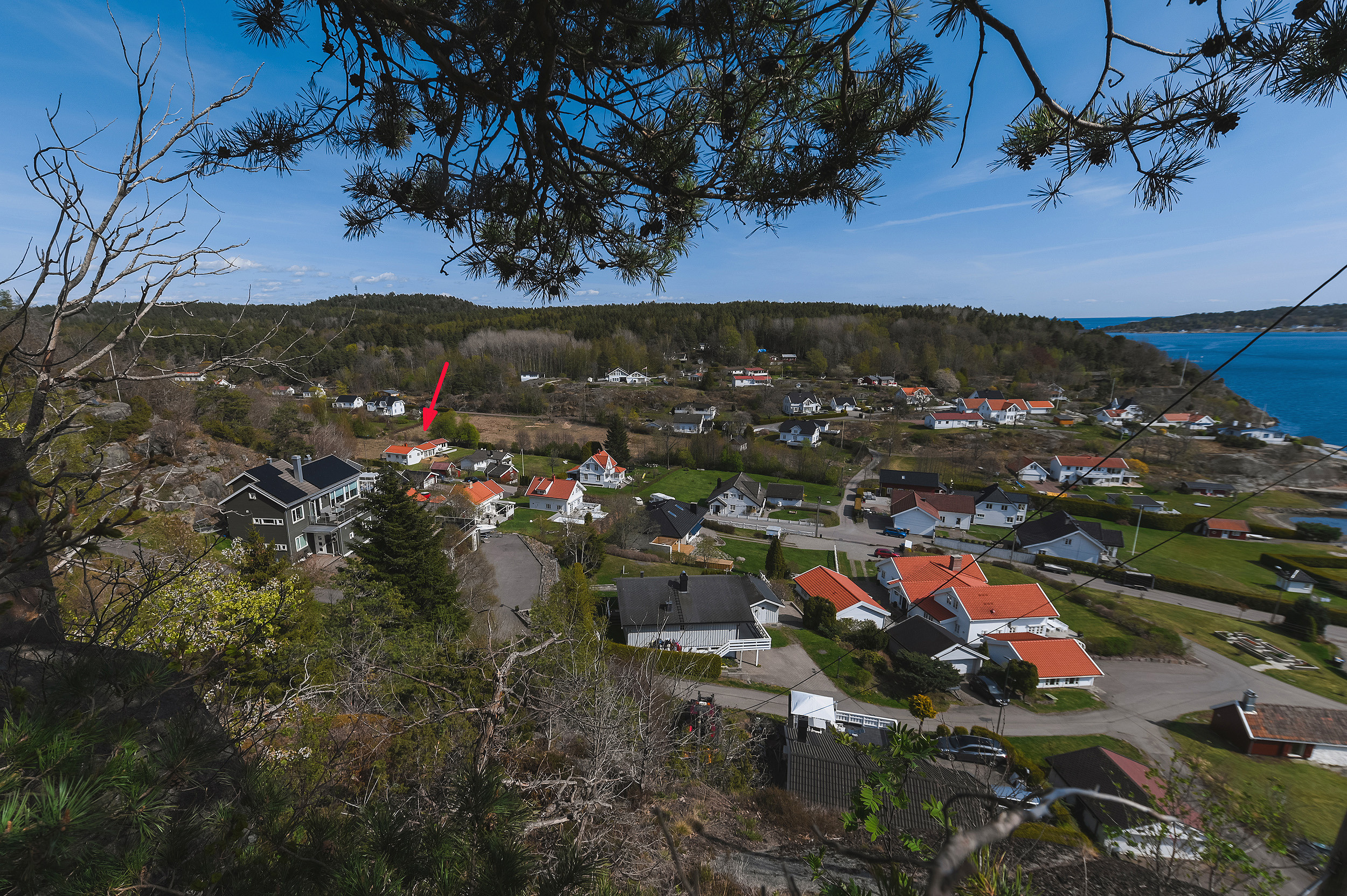 -5-. Family and wedding photographer in Norway Bublik Polina