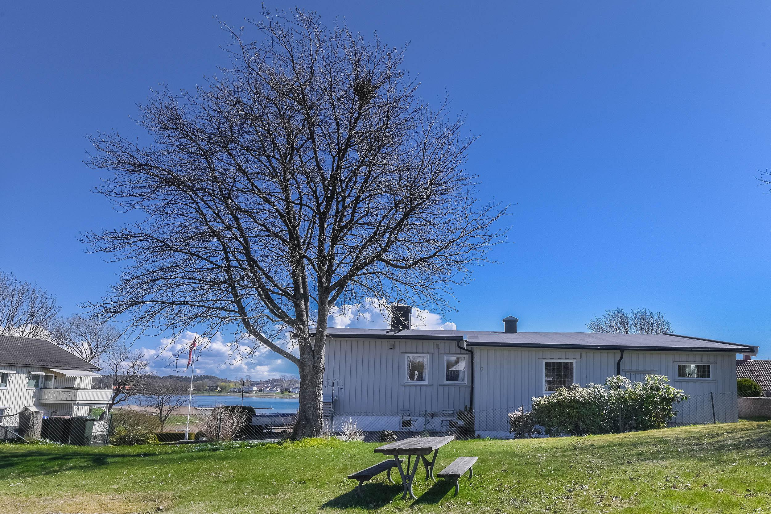 -2-. Family and wedding photographer in Norway Bublik Polina