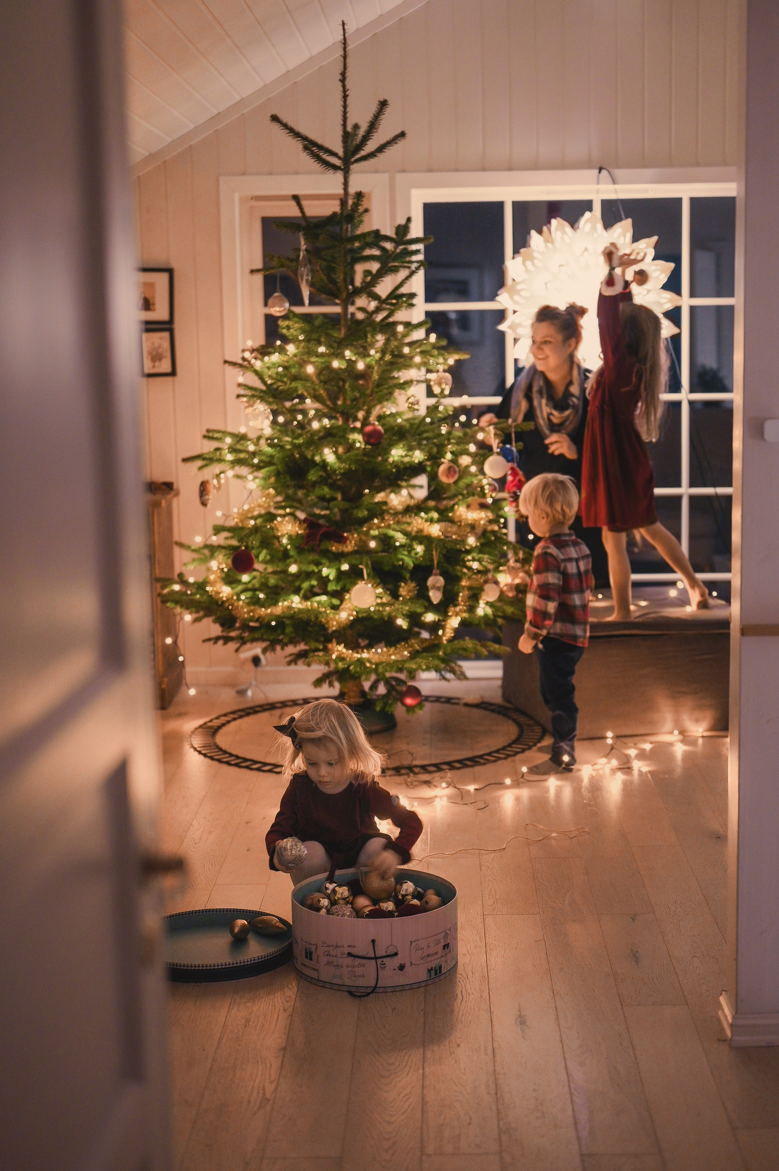 Juletre. Family and wedding photographer in Norway Bublik Polina