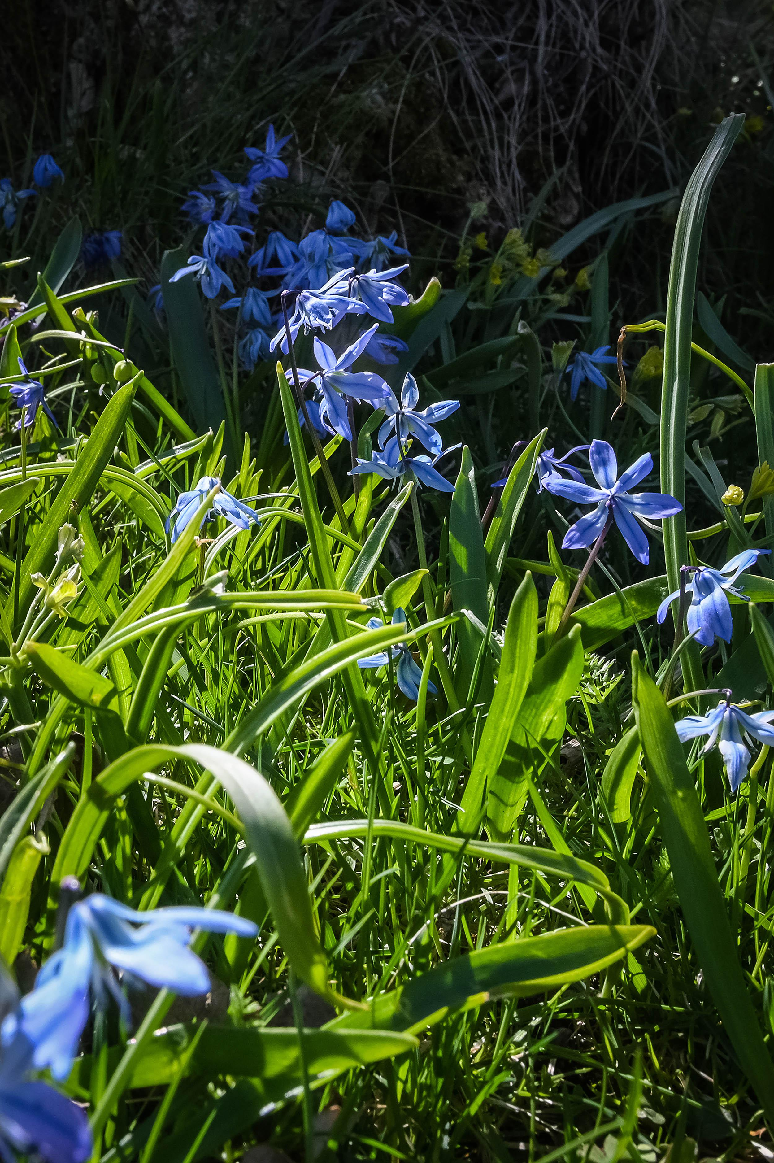 -2-. Family and wedding photographer in Norway Bublik Polina