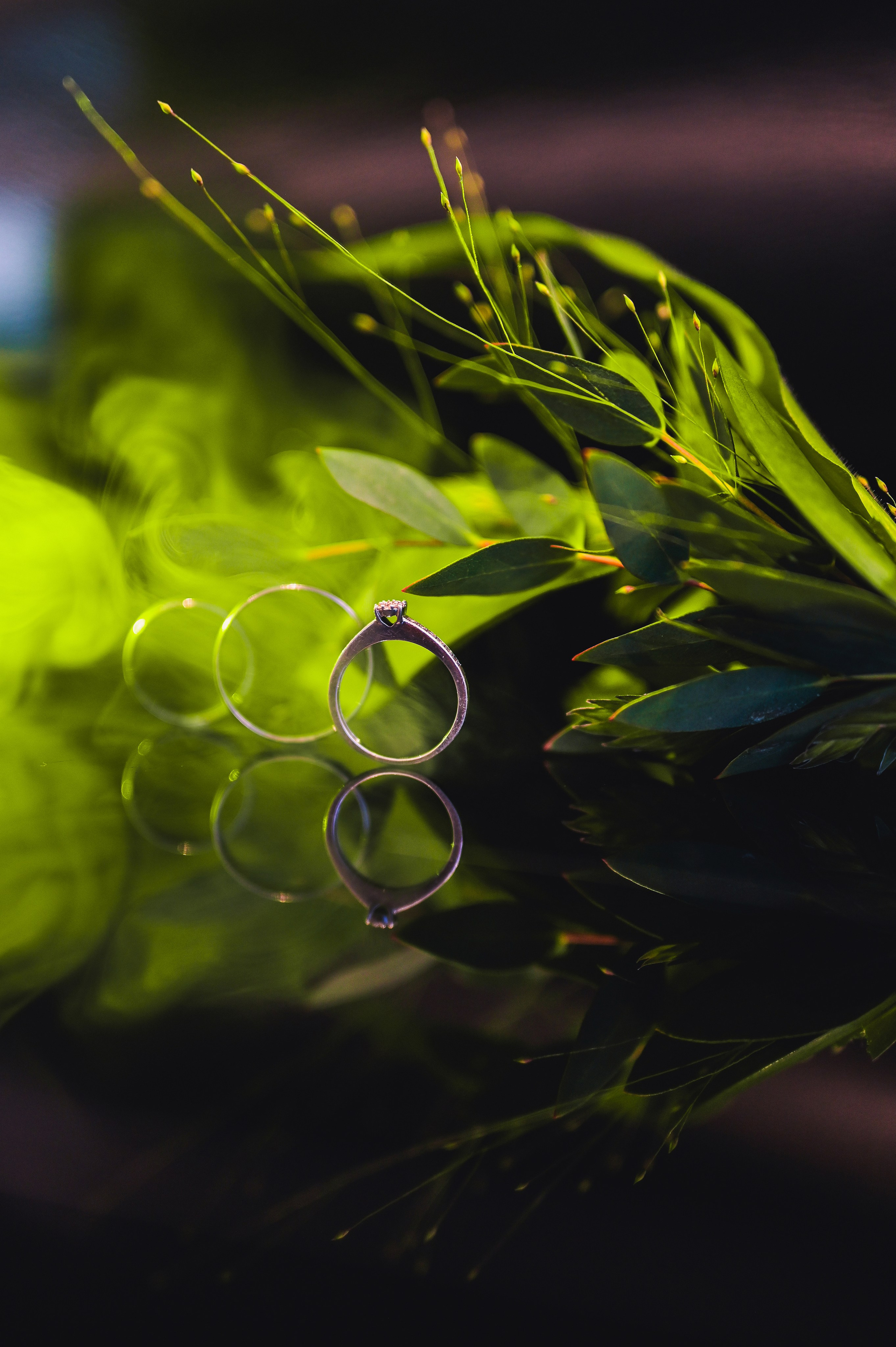 22 July Oslo. Family and wedding photographer in Norway Bublik Polina