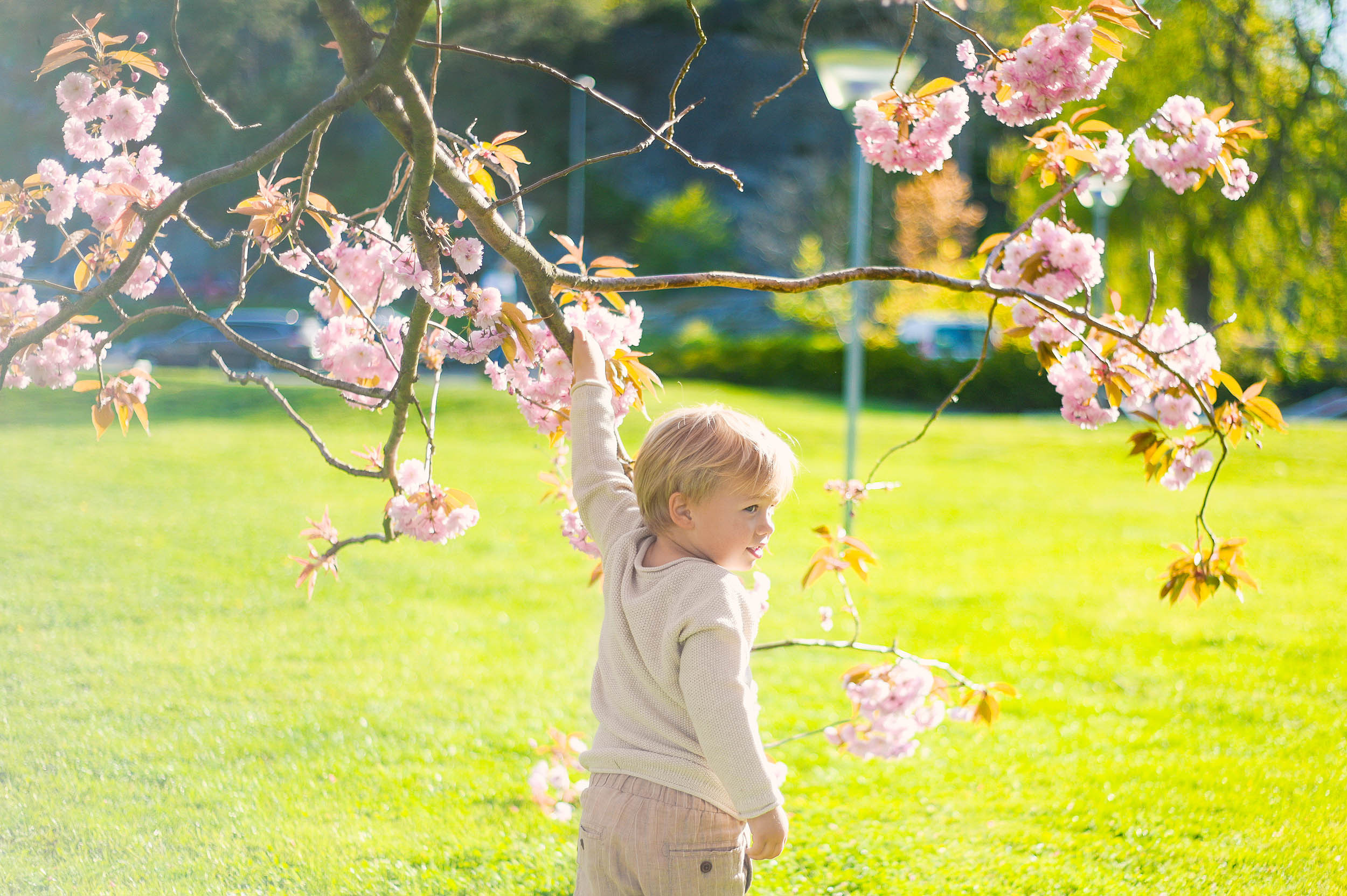 Viki + 3🐒🐒🐒. Family and wedding photographer in Norway Bublik Polina