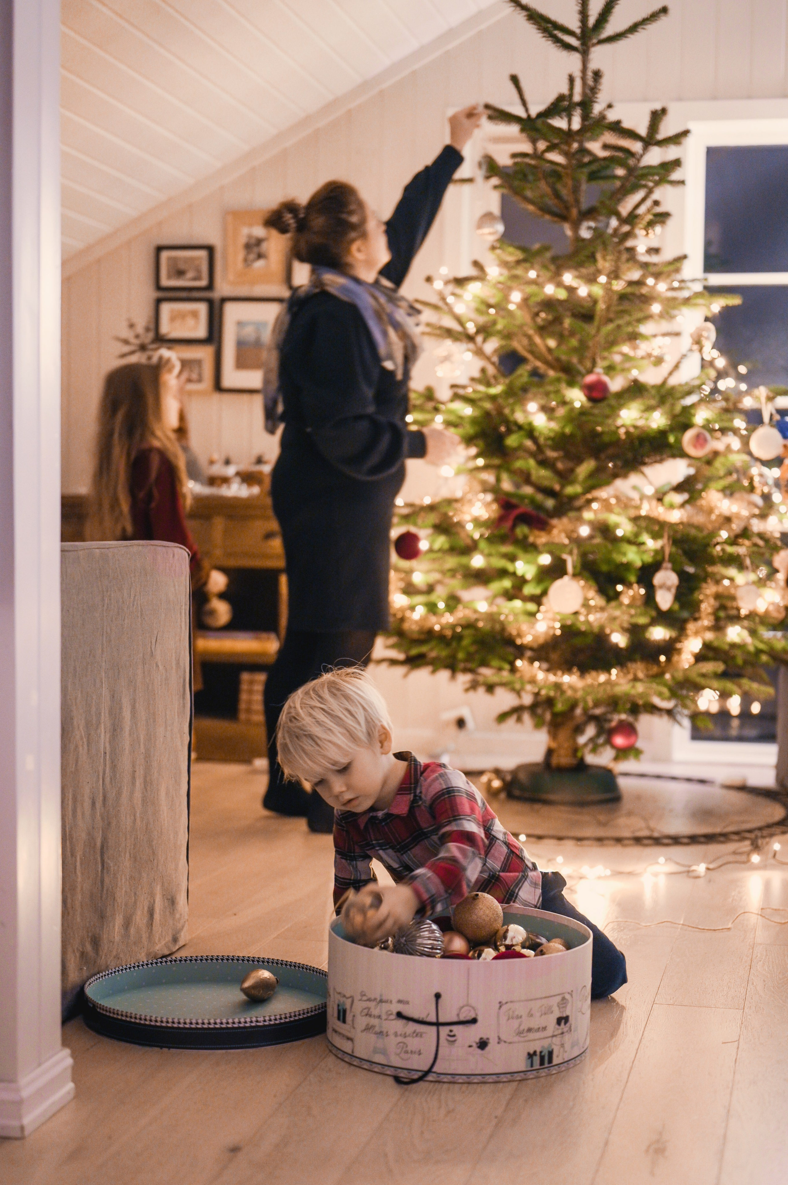 Juletre. Family and wedding photographer in Norway Bublik Polina