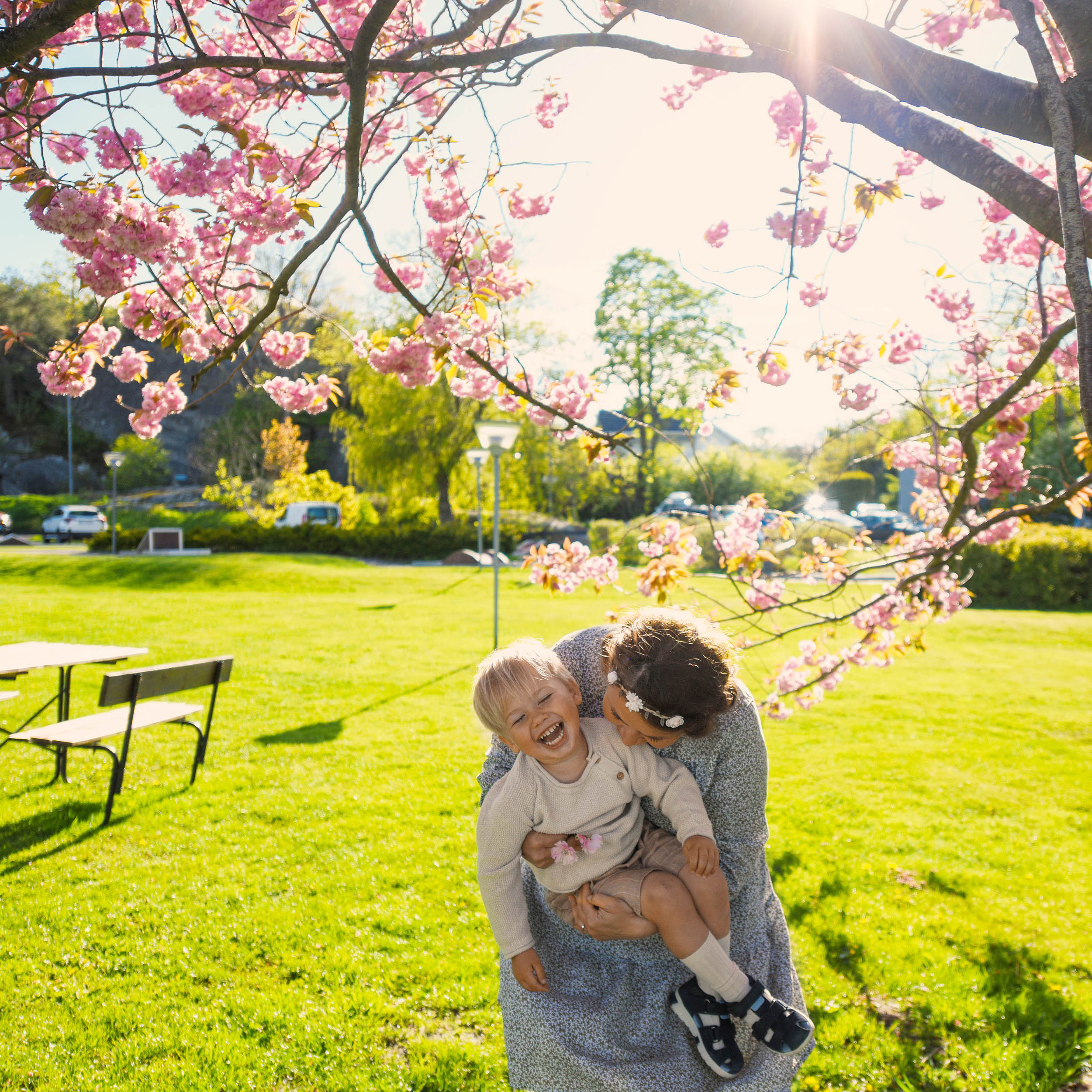 Viki + 3🐒🐒🐒. Family and wedding photographer in Norway Bublik Polina