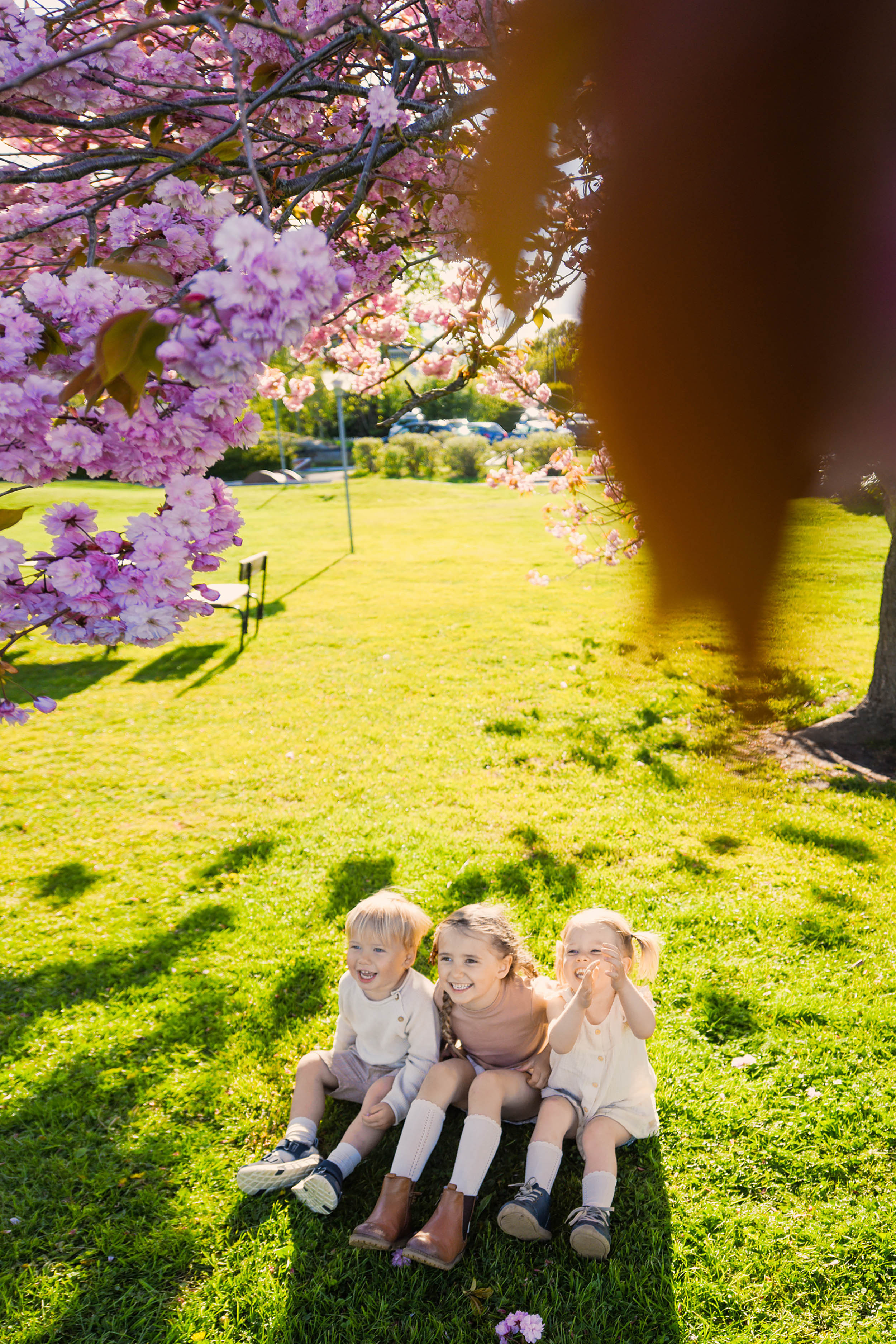 Viki + 3🐒🐒🐒. Family and wedding photographer in Norway Bublik Polina