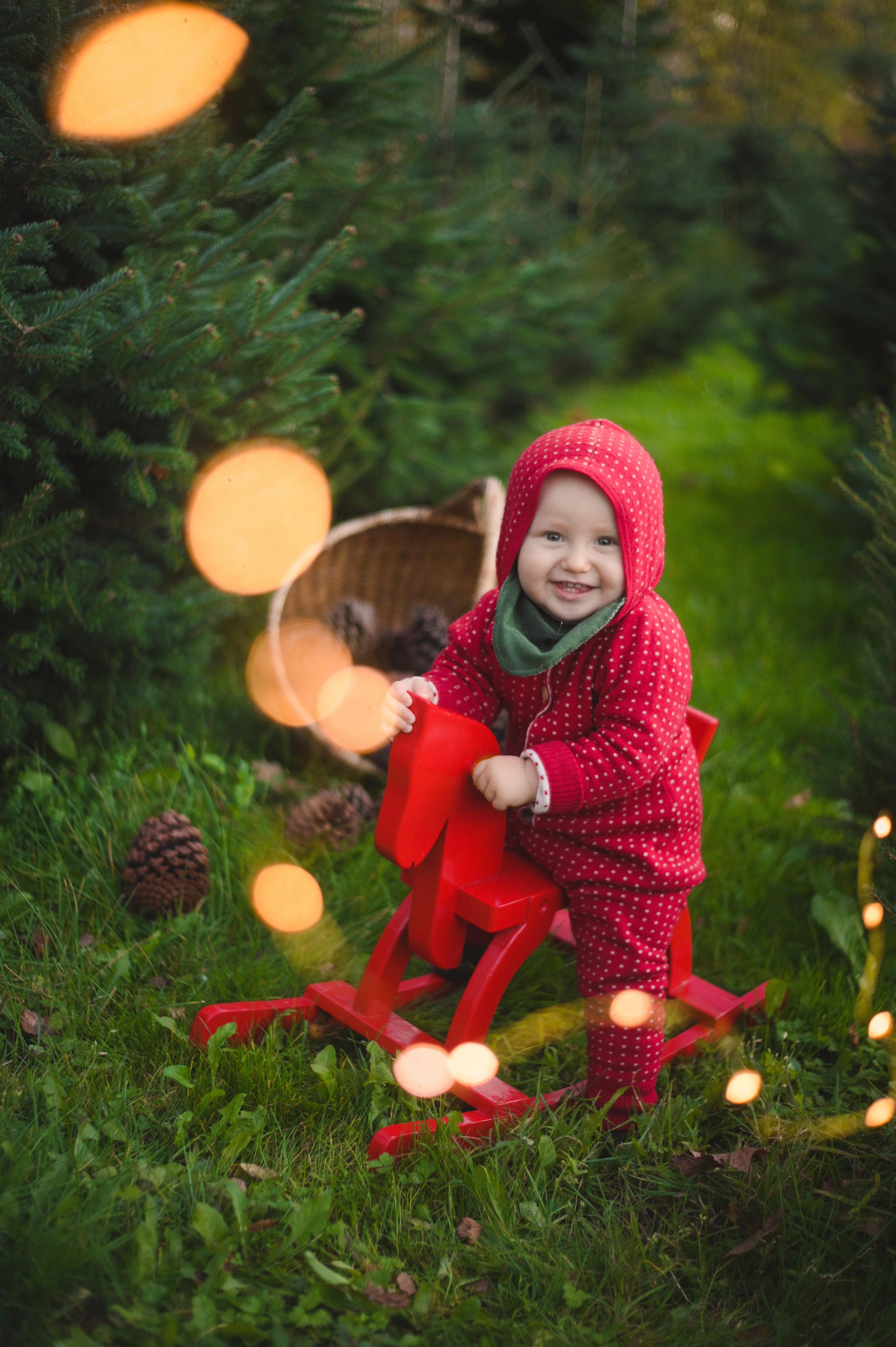 Newton and KW. Family and wedding photographer in Norway Bublik Polina